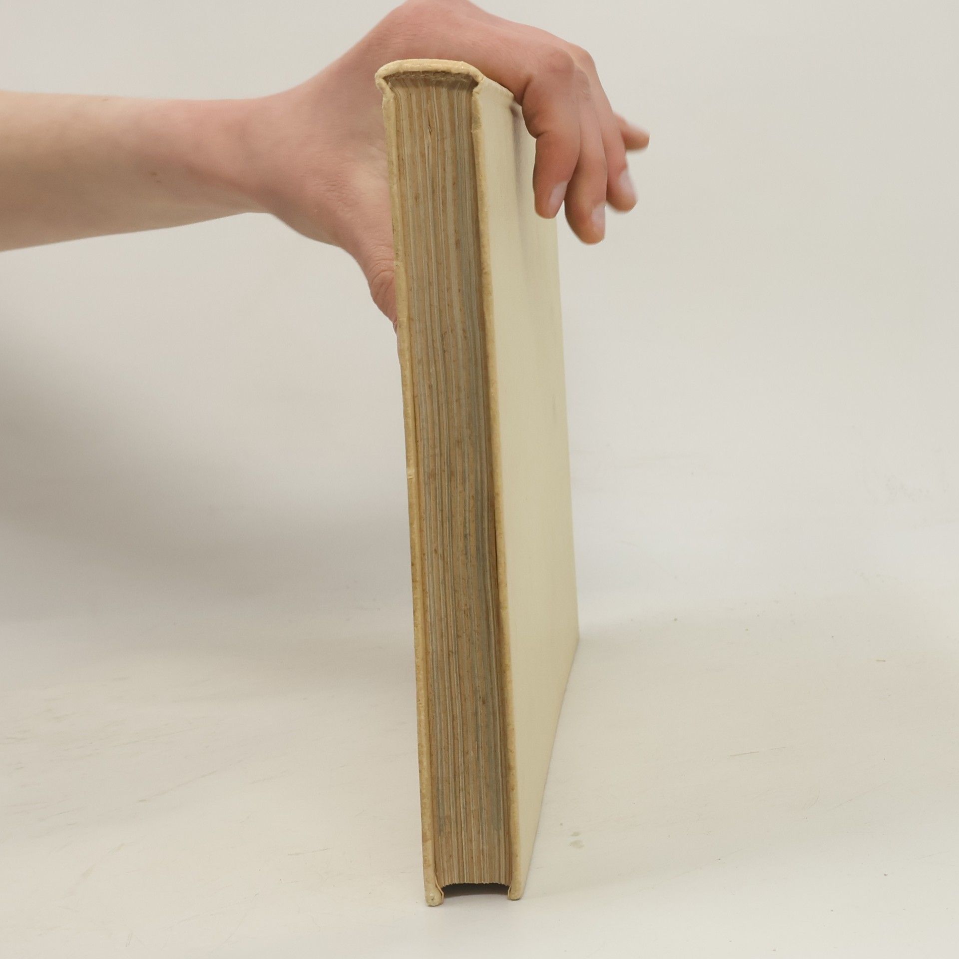 Auteurscollectief L'arte nel medioevo