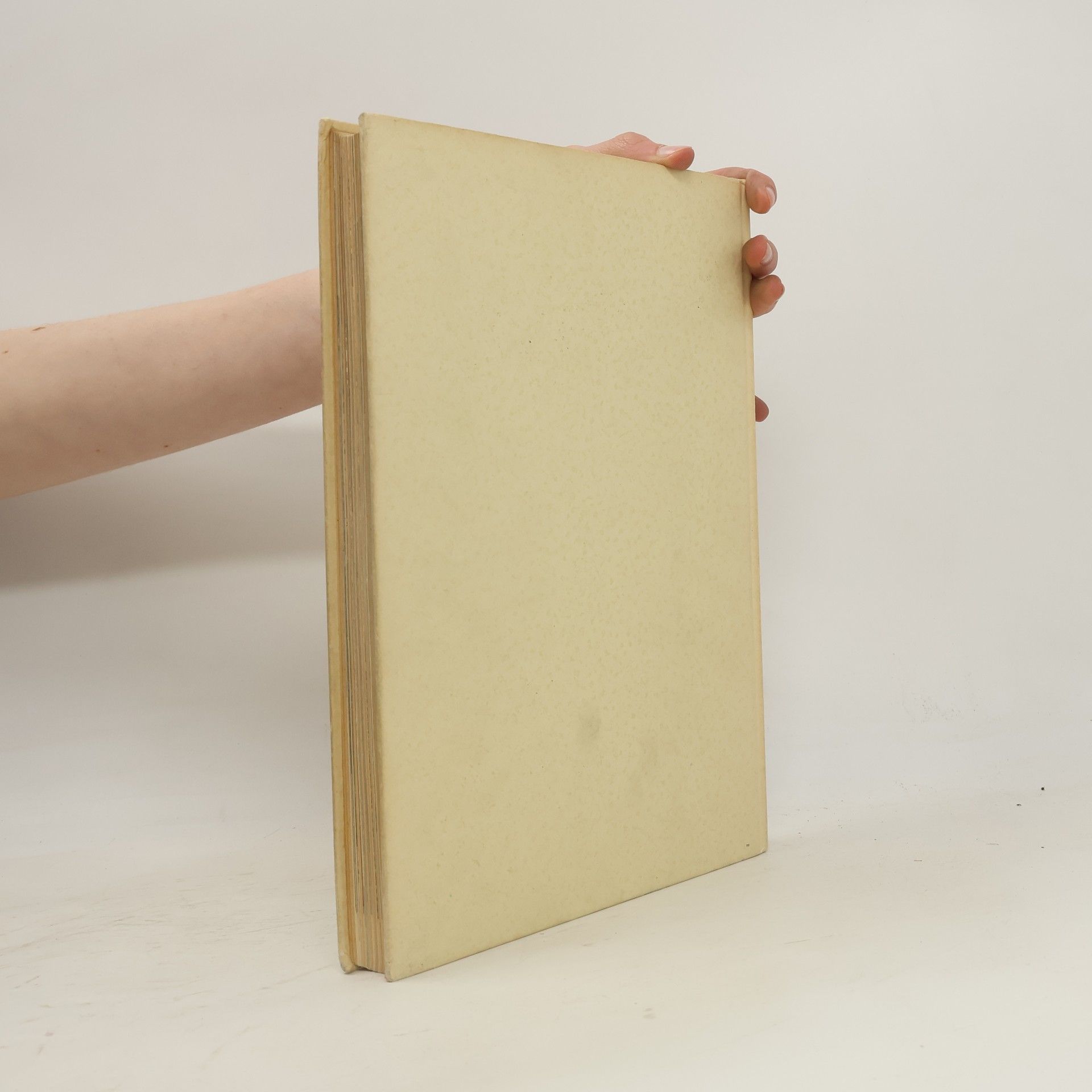 Auteurscollectief L'arte nel medioevo