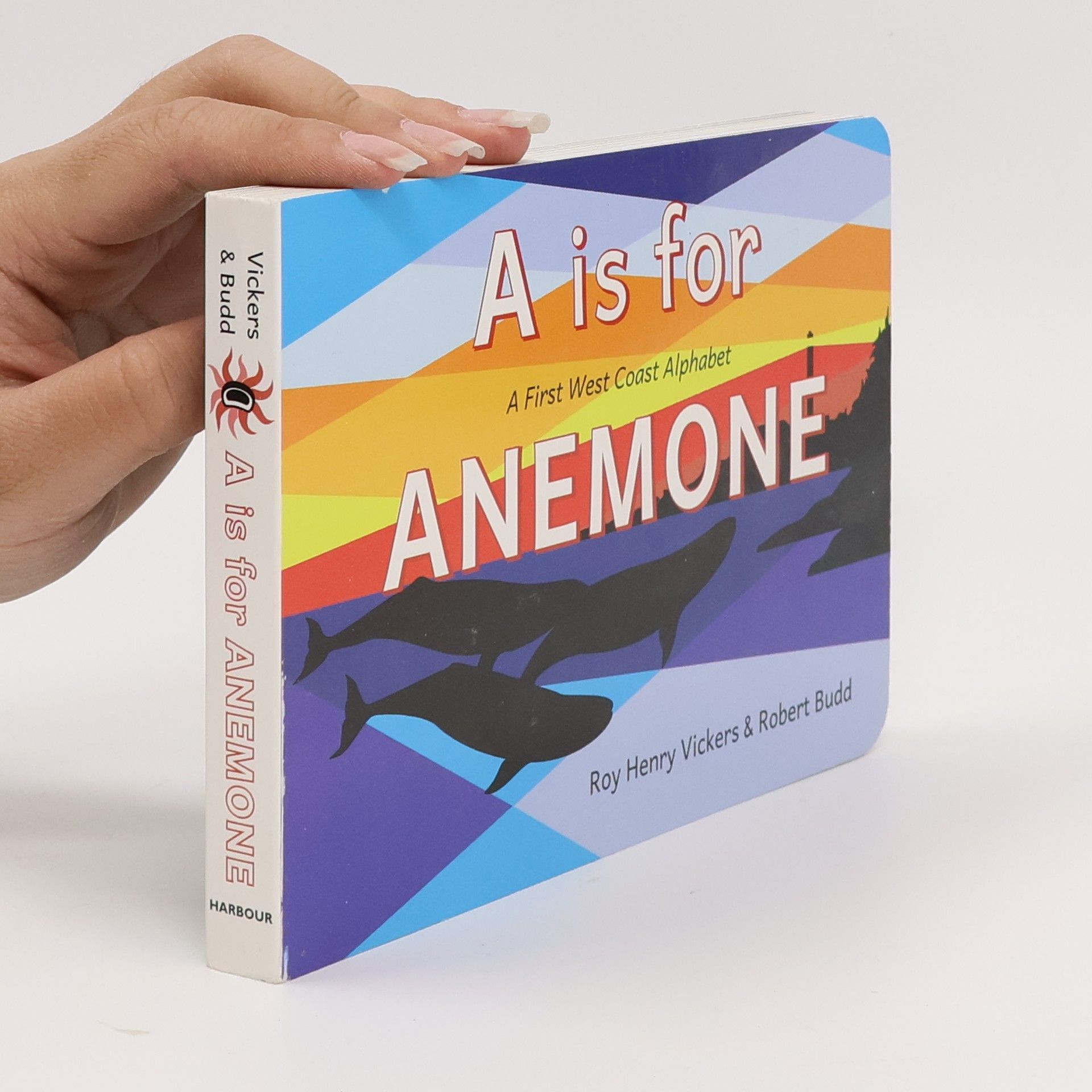 Robert Budd Is for Anemone