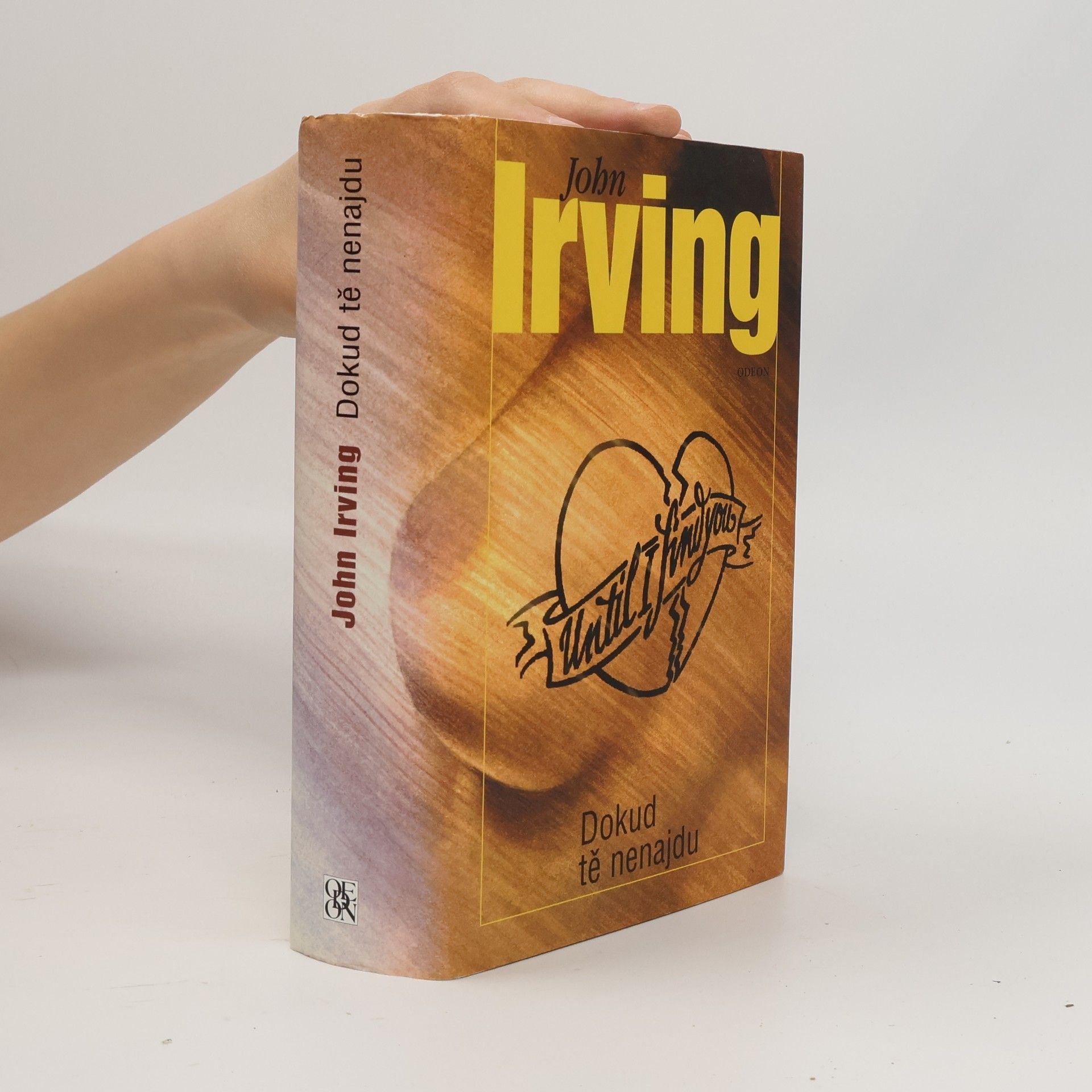 John Irving Dokud tě nenajdu
