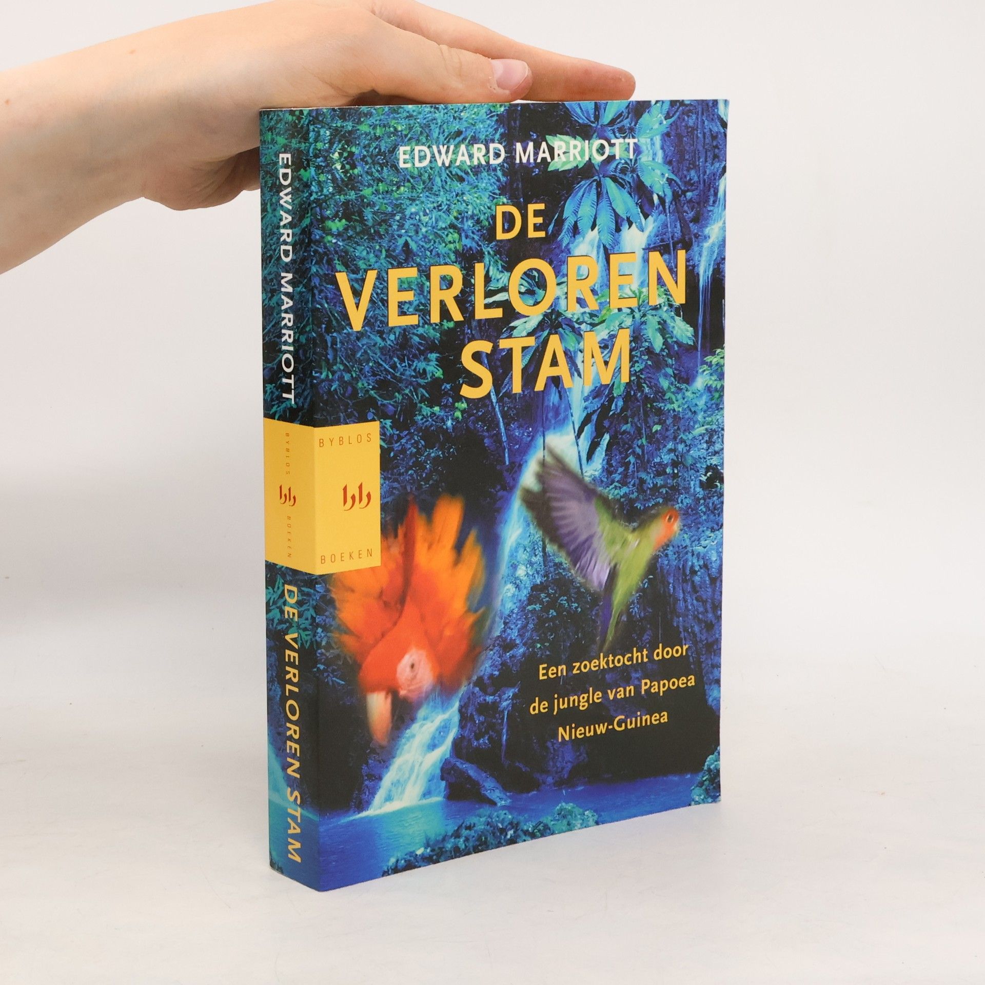 Jan Hamminga De verloren stam