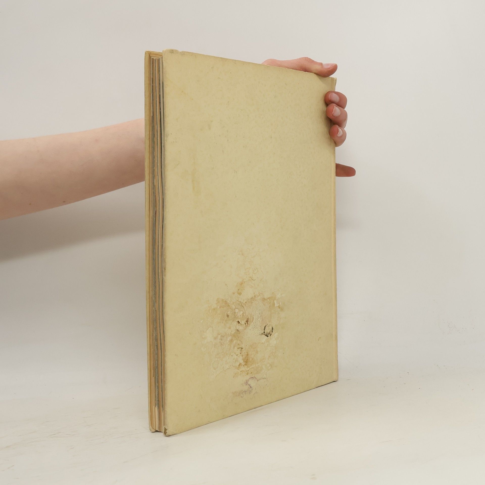 Autores varios L'arte nel medioevo