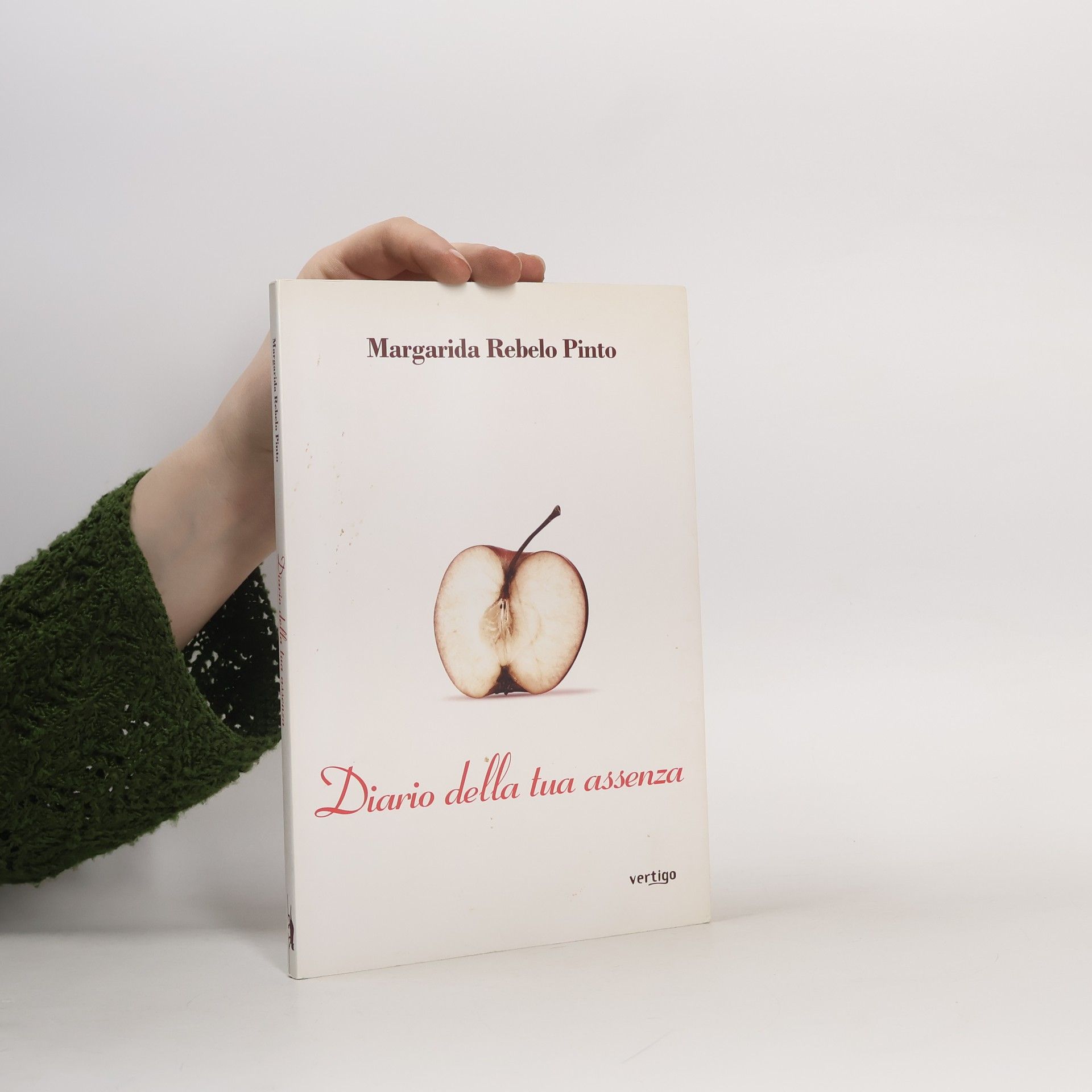 Rebelo Pinto Margarida Diario della tua assenza