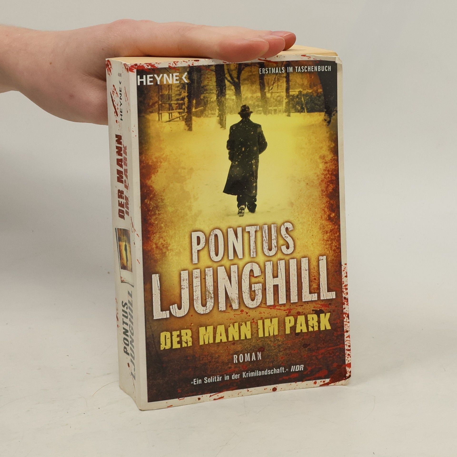 Pontus Ljunghill Der Mann im Park