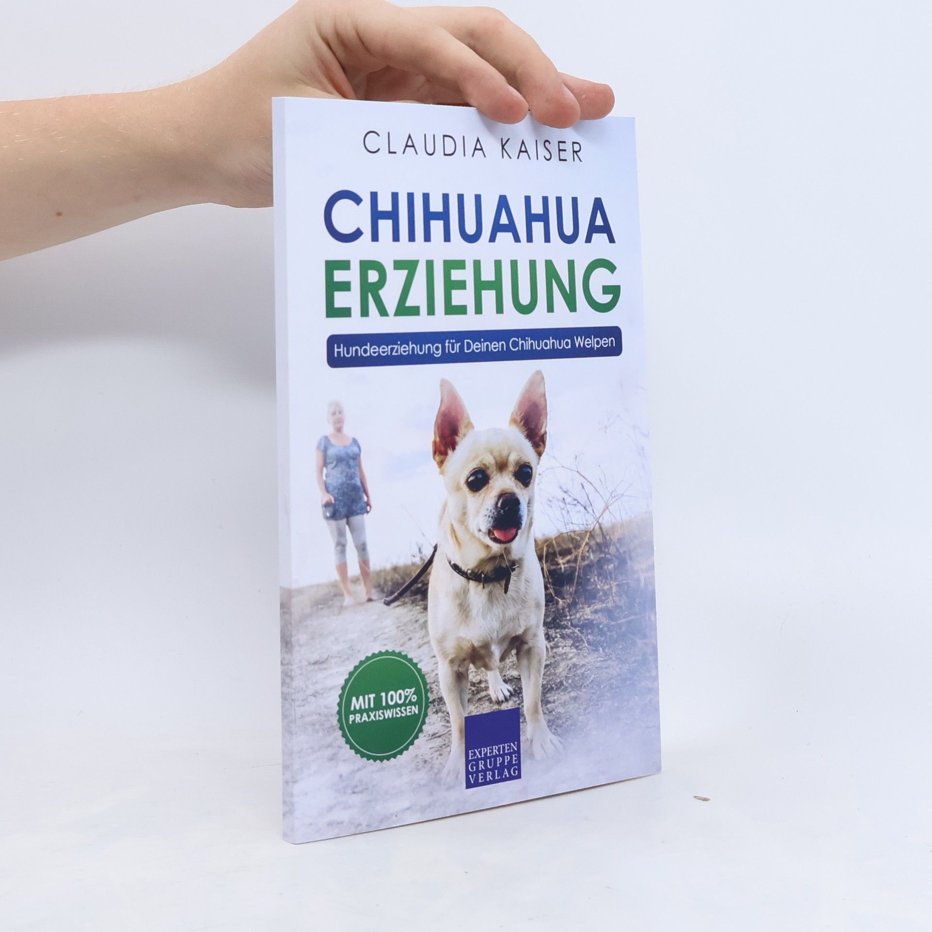 Chihuahua Erziehung