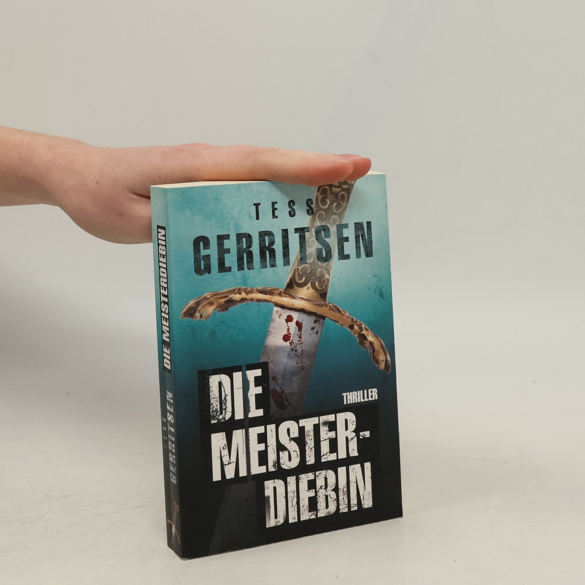 Tess Gerritsen Die Meisterdiebin
