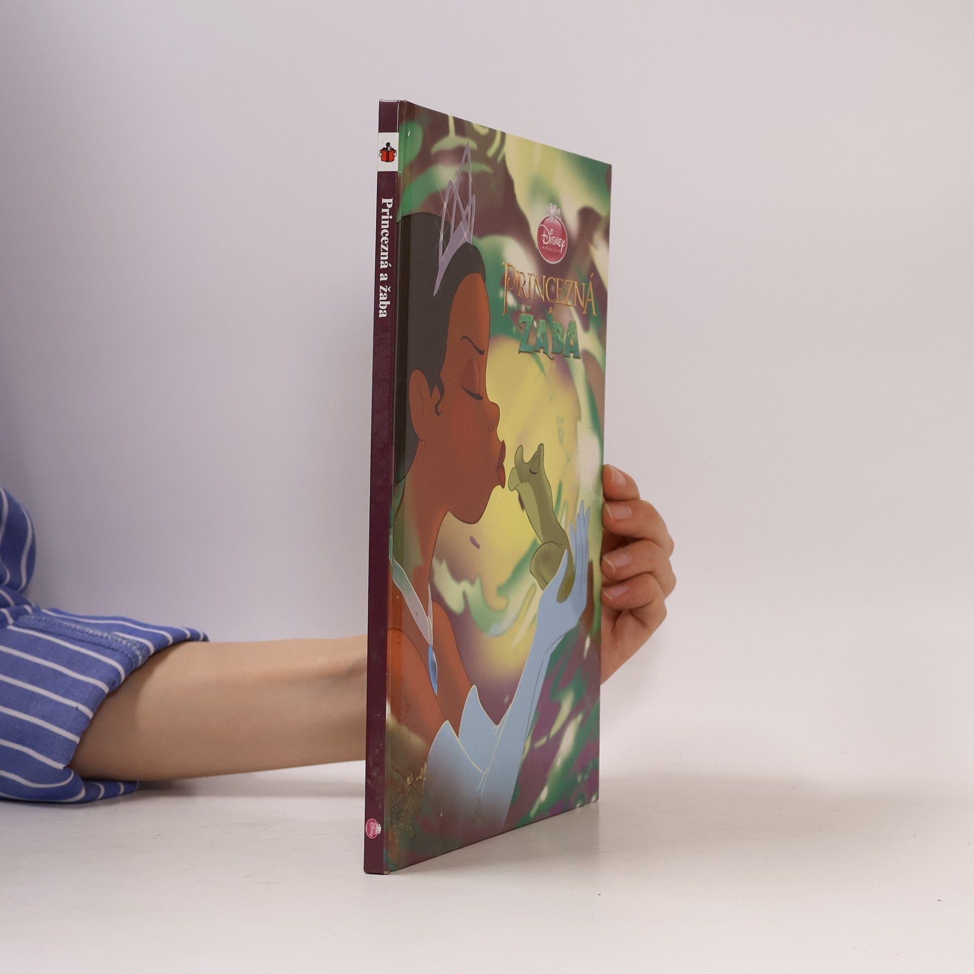 Collectif d'auteurs Princezná a žaba