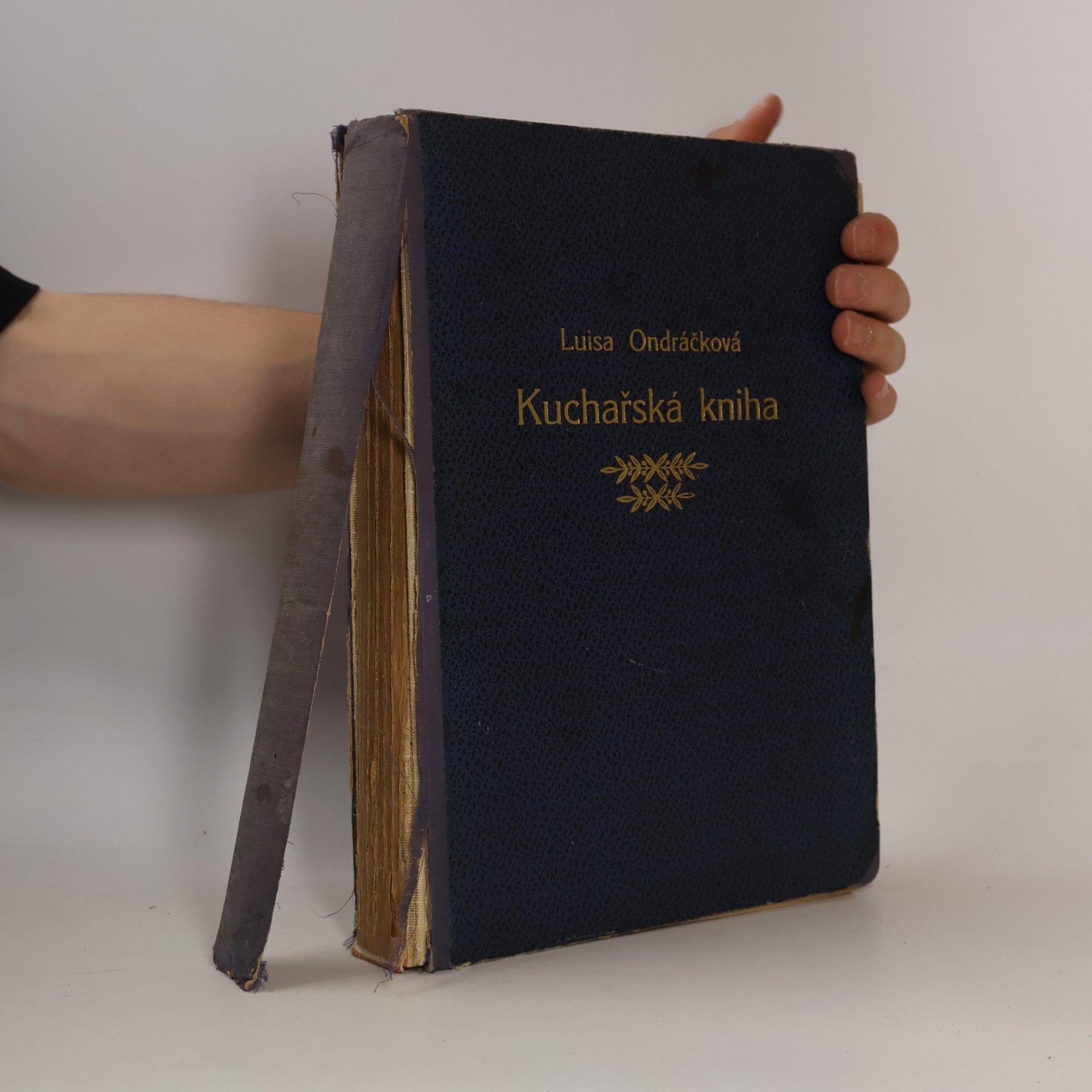Luisa Ondráčková Kuchařská kniha