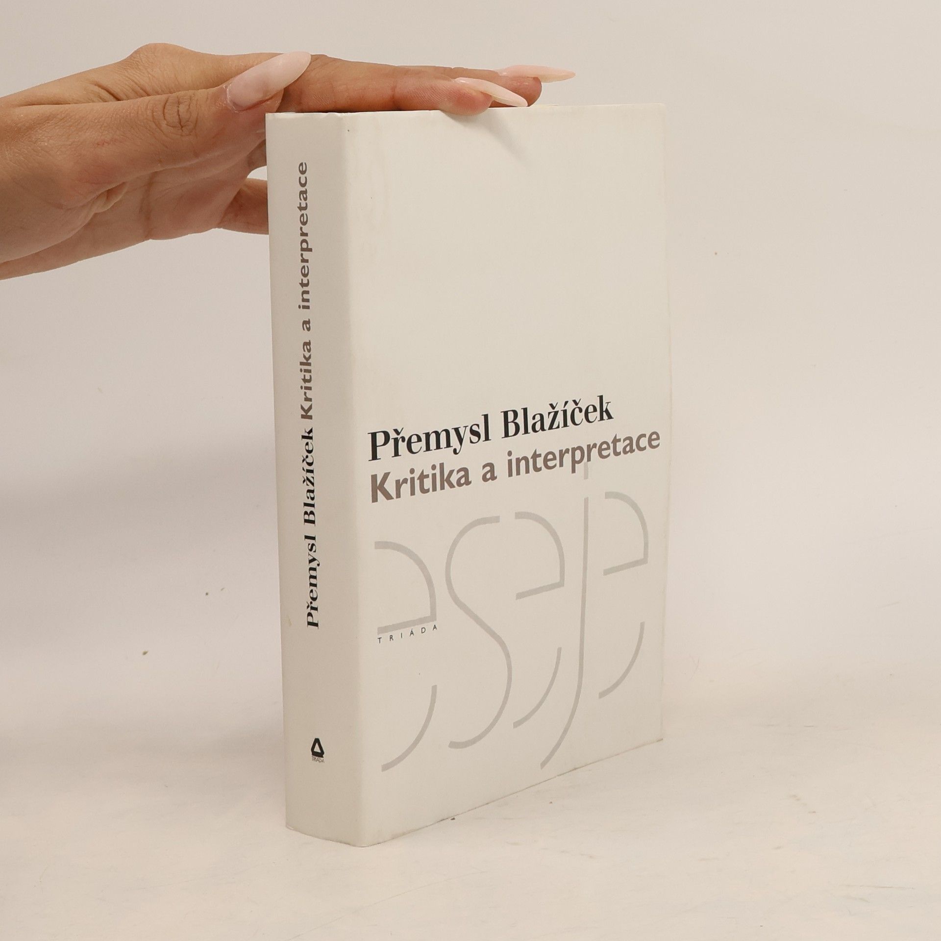 Přemysl Blažíček Kritika a interpretace