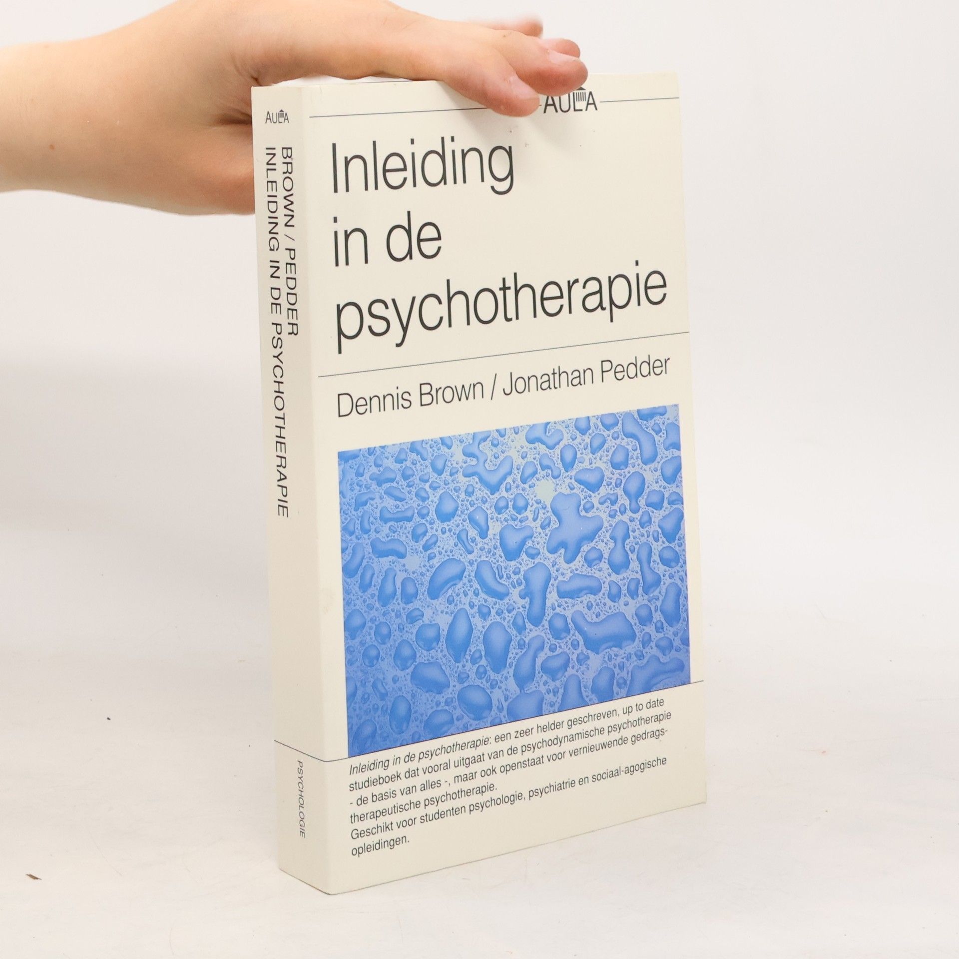Dennis G. Brown Inleiding in de psychotherapie
