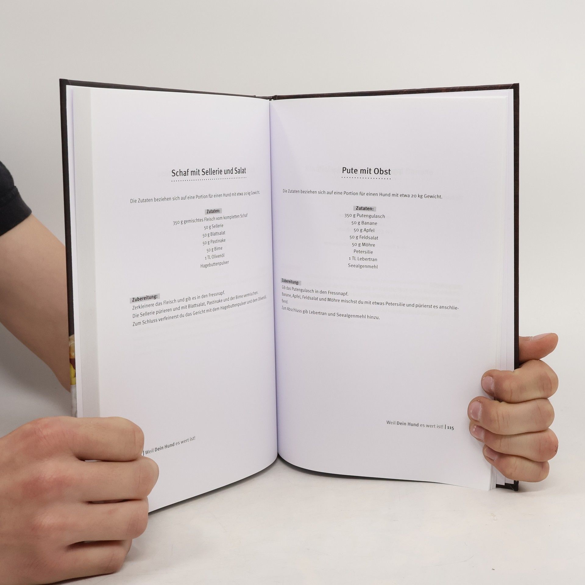 Philipp Pfote Philipp Pfote - Ratgeber aus Tierliebe: Weil dein Hund es wert ist! Das Kochbuch für deinen Hund mit einfachen Rezepten zum Selbermachen