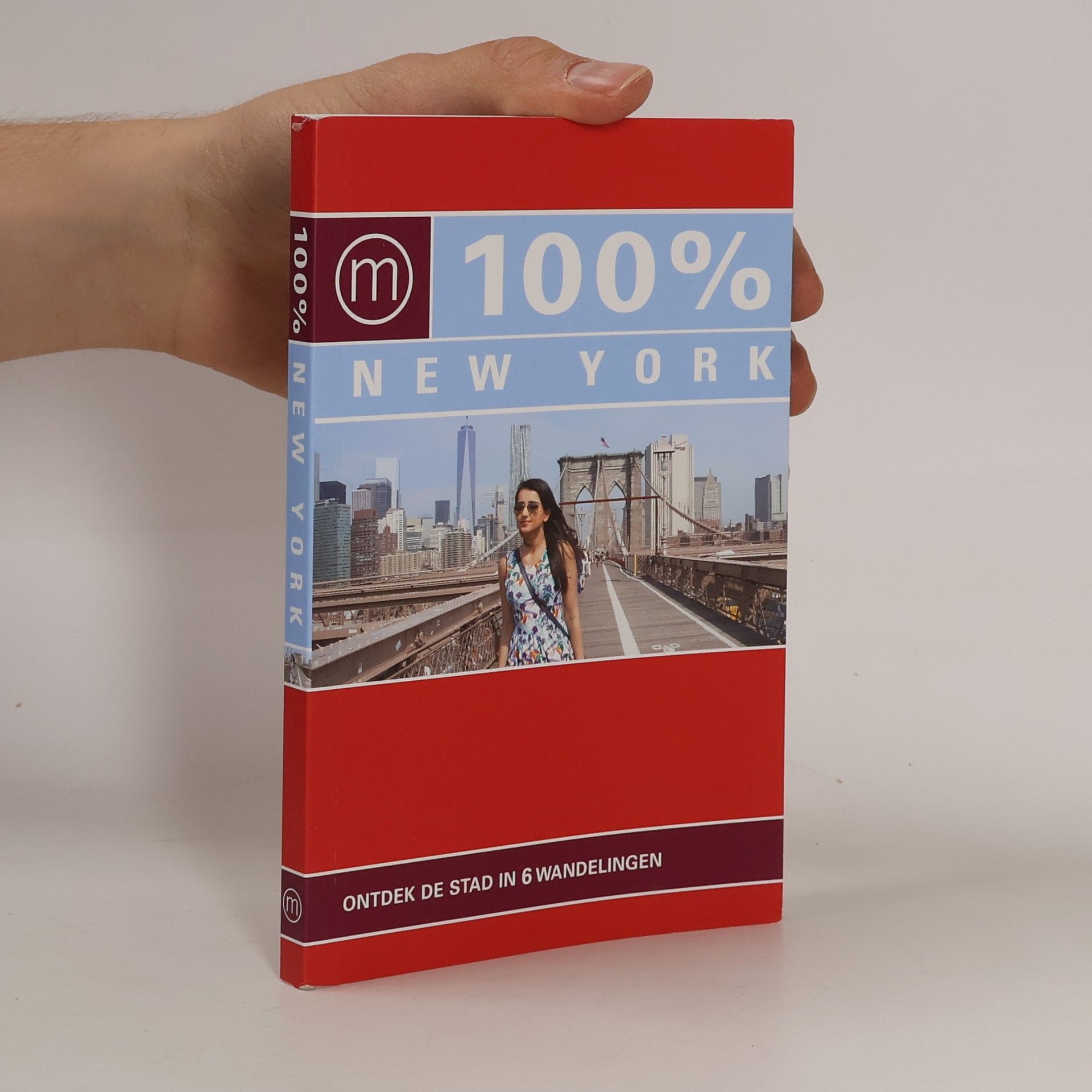 Kolektiv autorů 100% New York