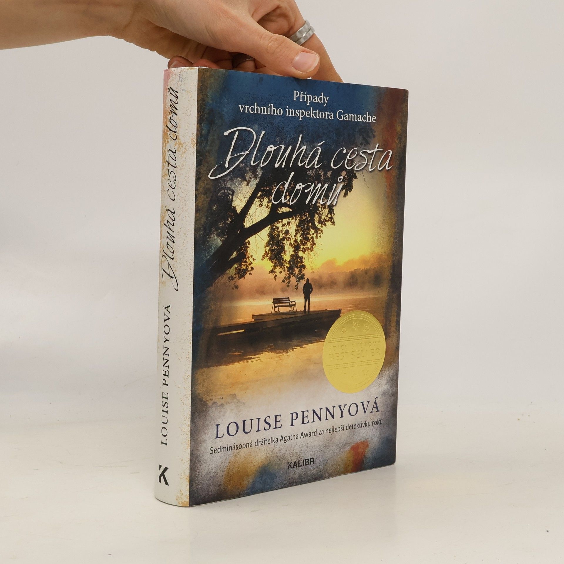 Louise Penny Dlouhá cesta domů