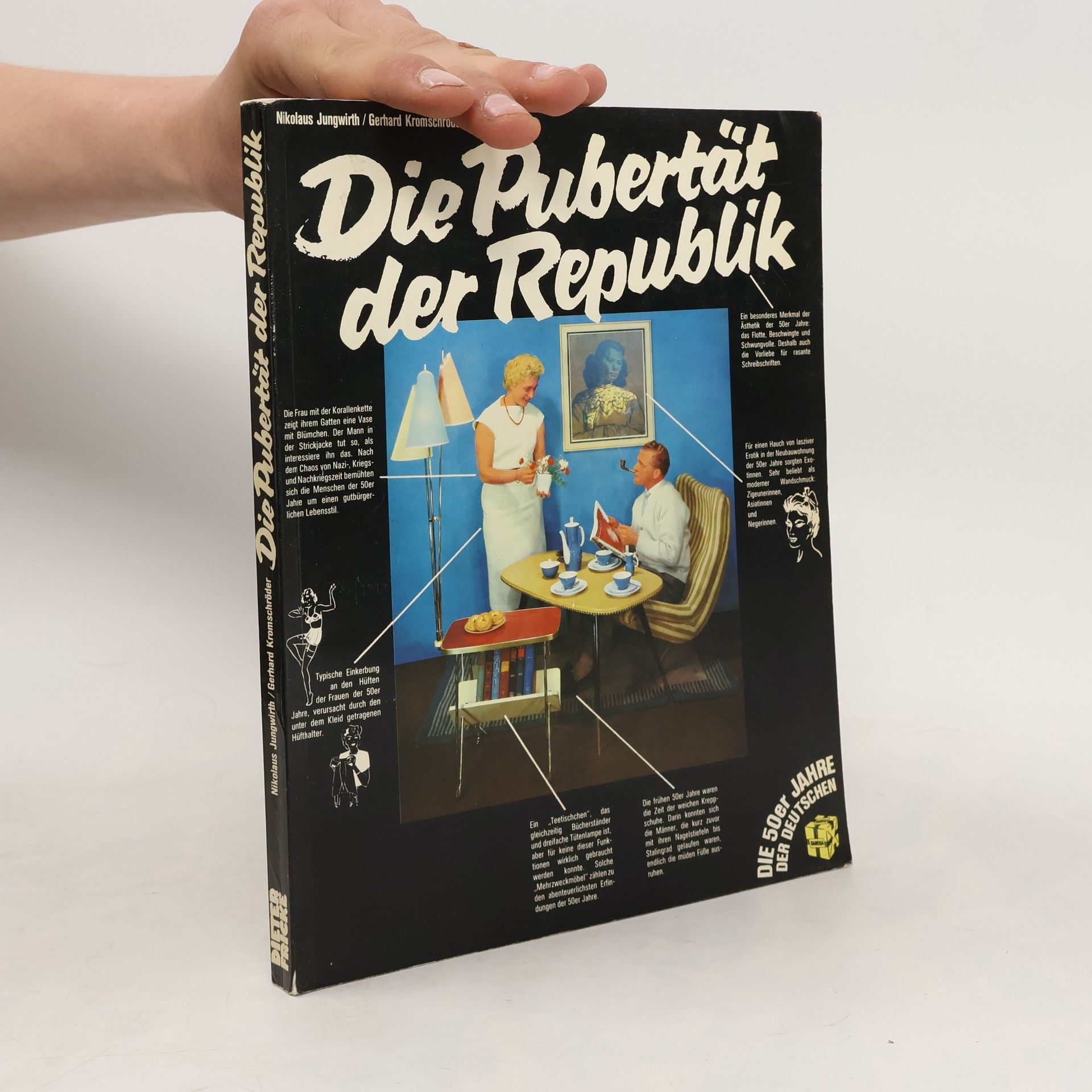 Nikolaus Jungwirth Die Pubertät der Republik
