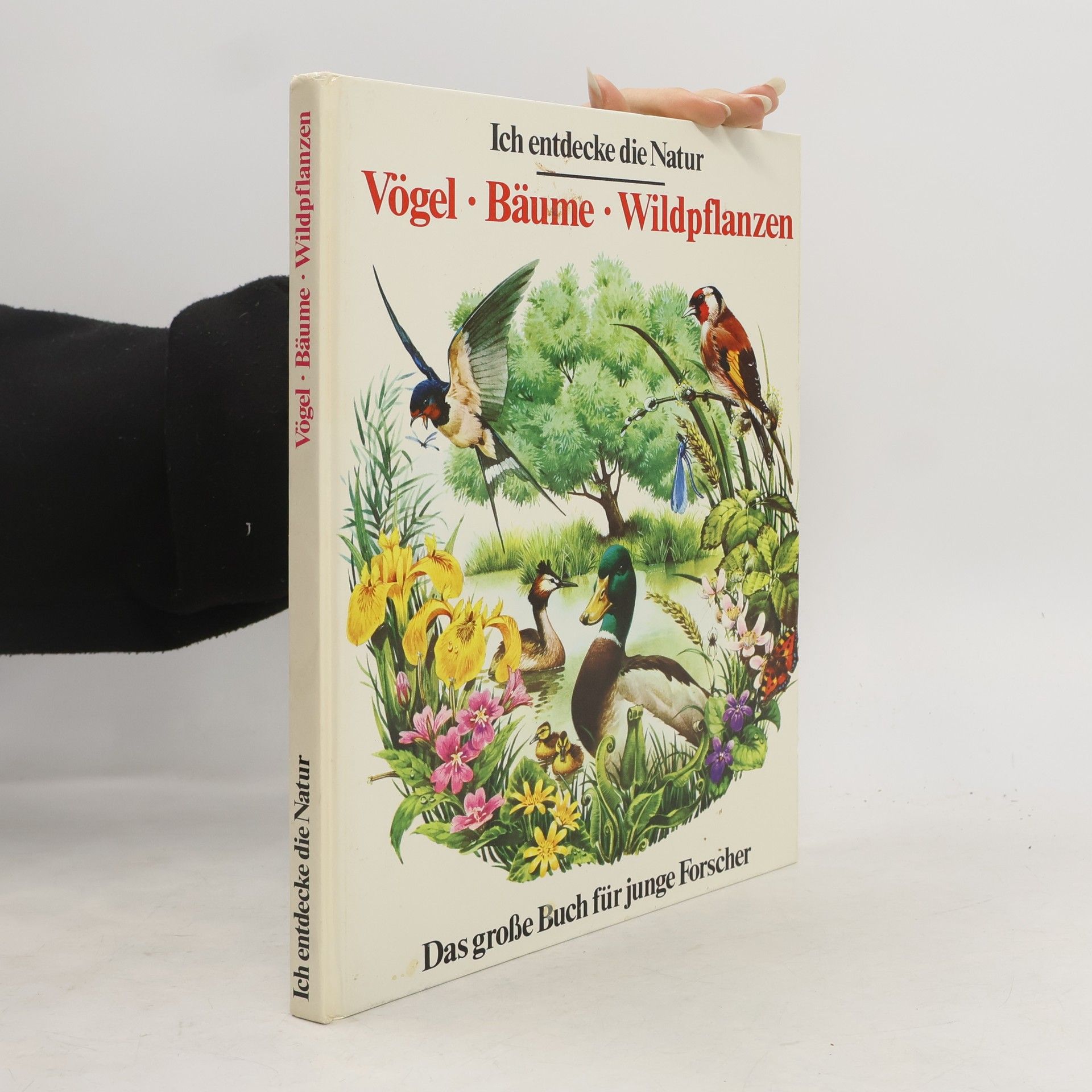 Kolektiv autorů Ich entdecke die Natur. Vögel, Bäume, Wildpflanzen