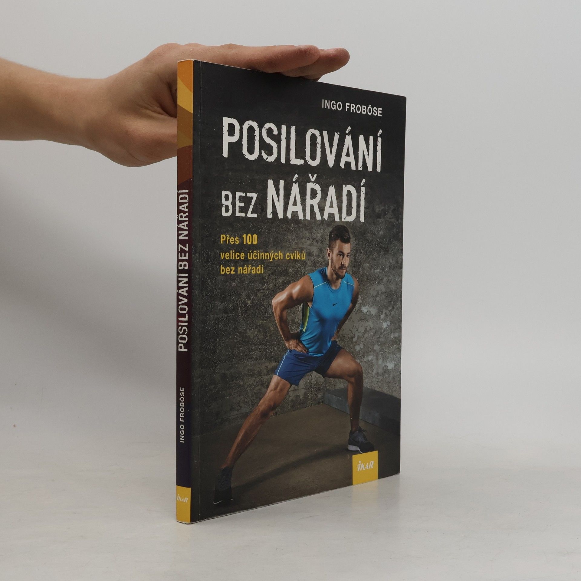 Ingo Froböse Posilování bez nářadí