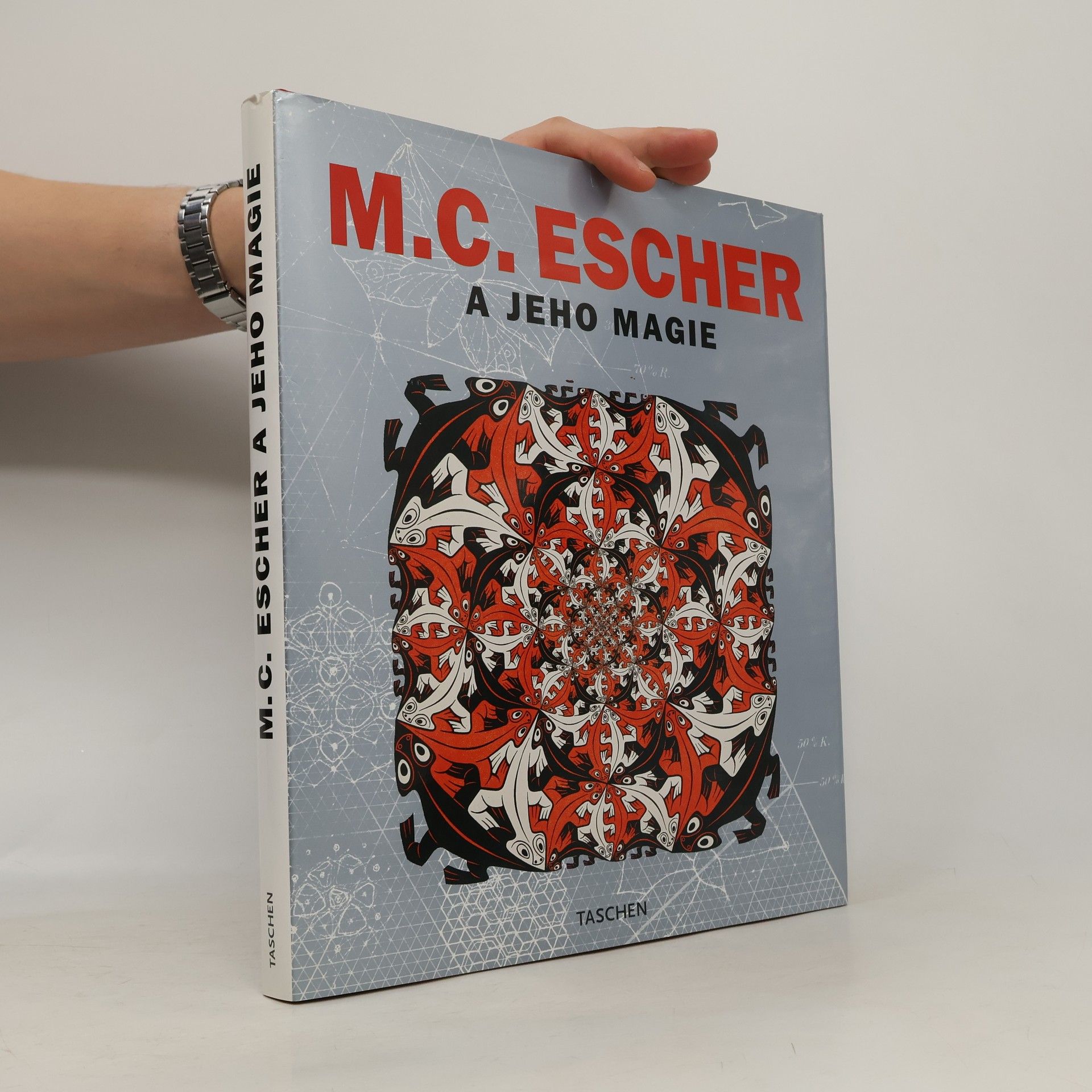 M. C. Escher M. C. Escher a jeho magie