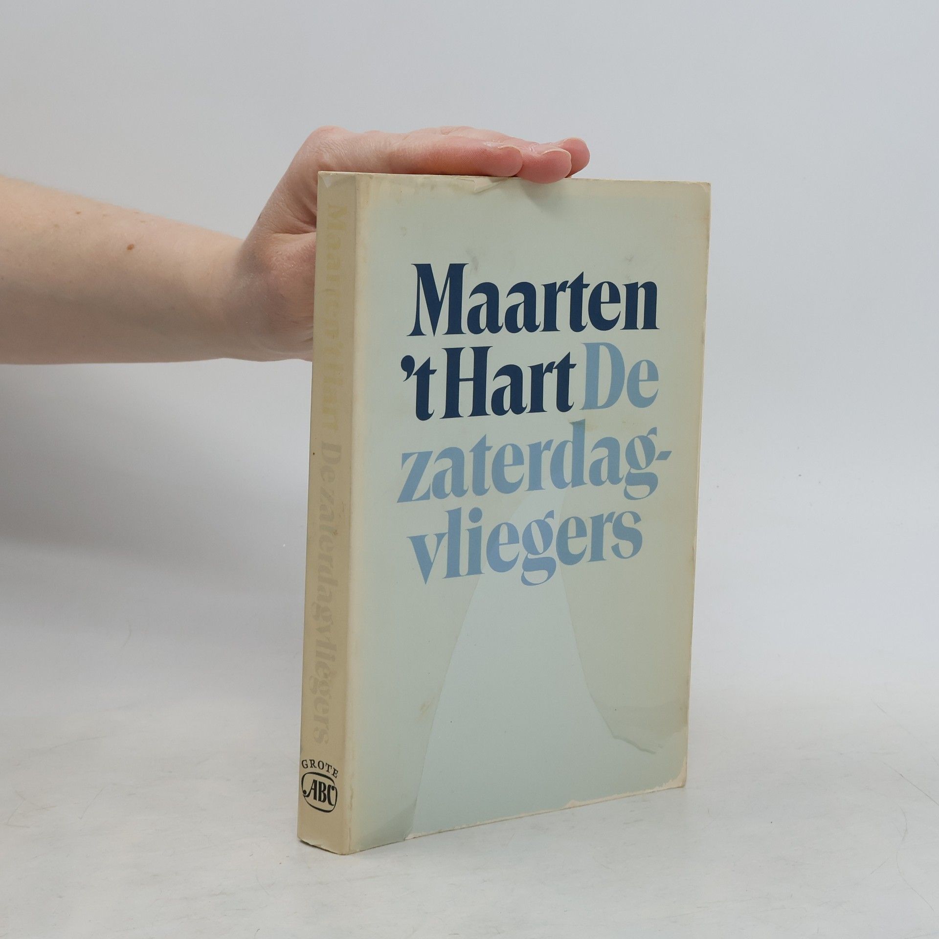 De zaterdagvliegers