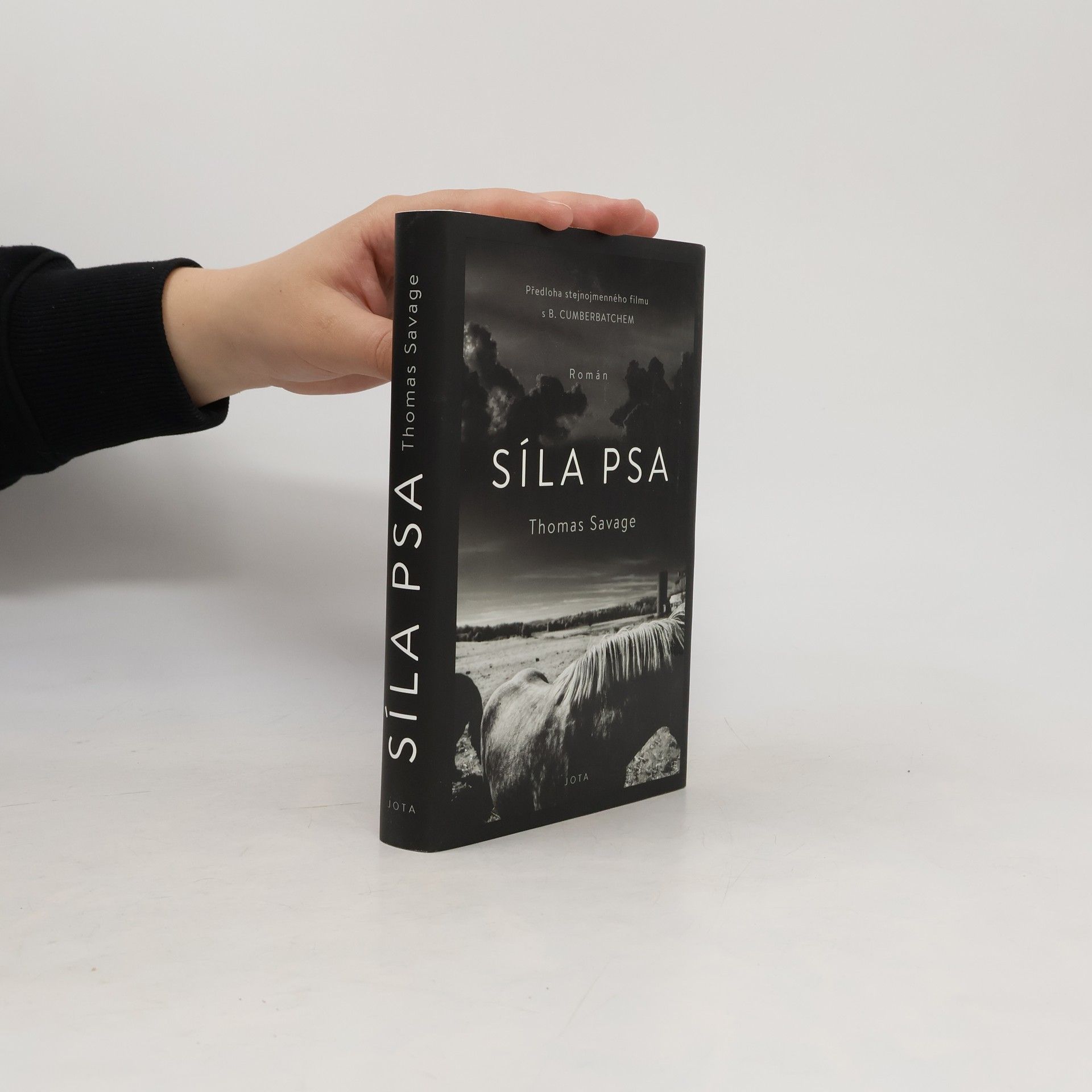 Thomas Savage Síla psa