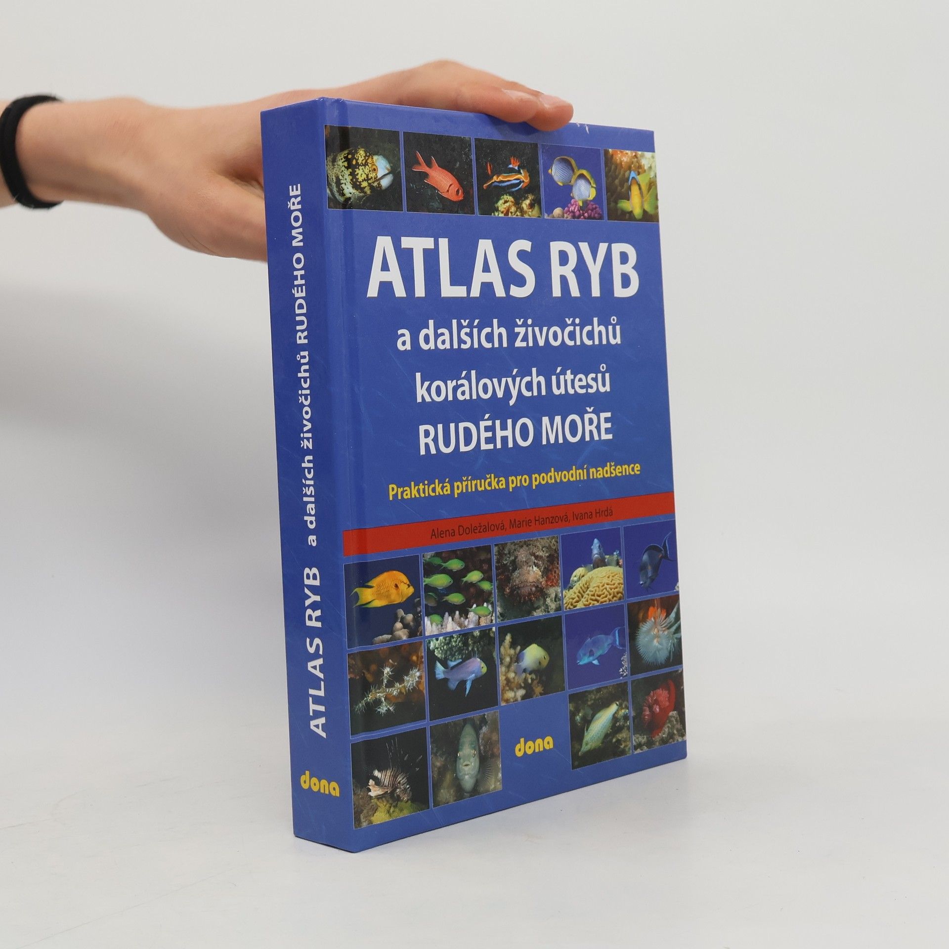 Ivana Hrdá Atlas ryb a dalších živočichů korálových útesů Rudého moře