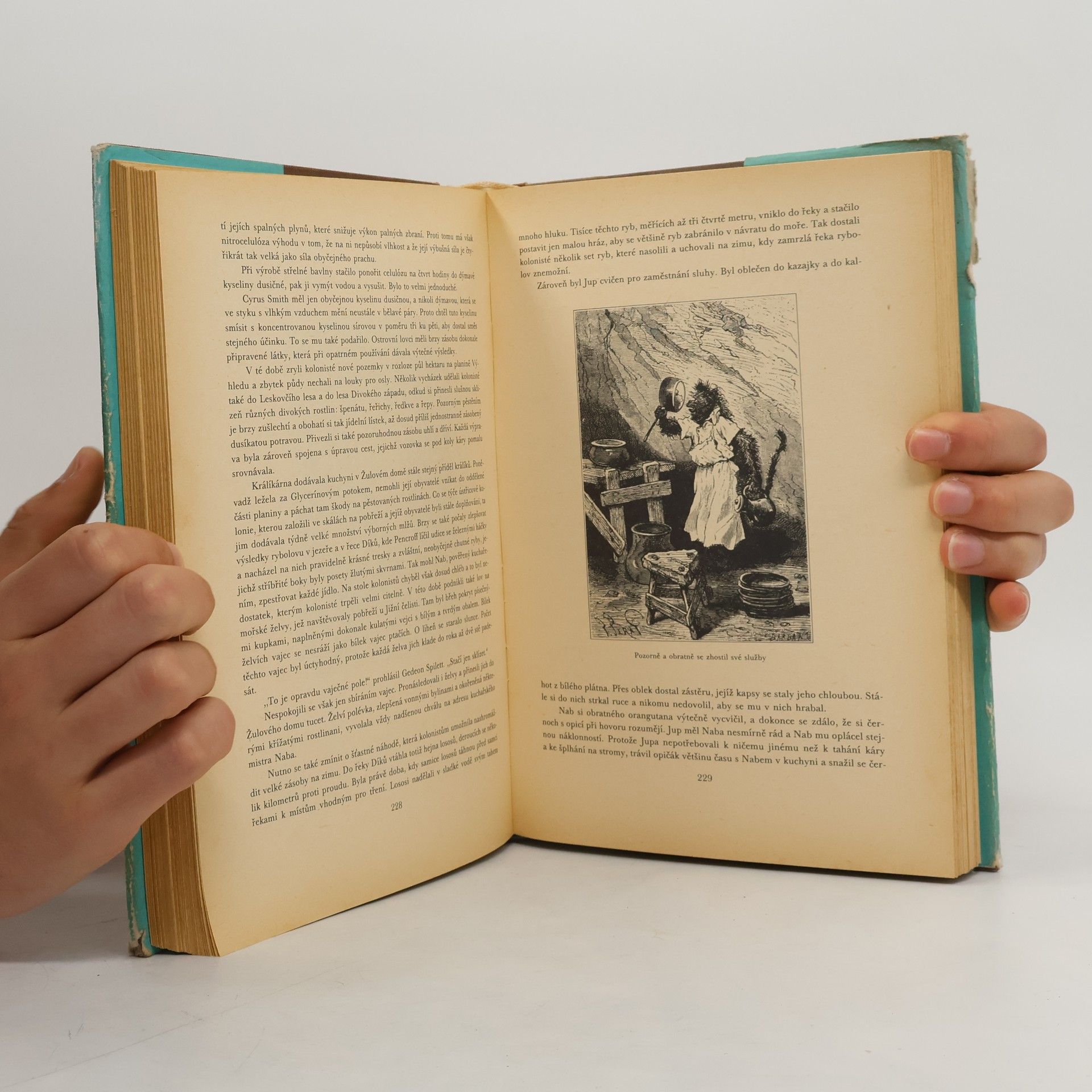Jules Verne Tajuplný ostrov