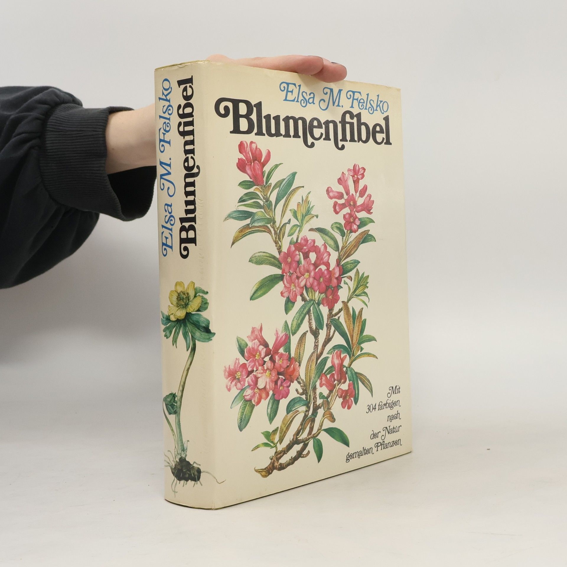 Elsa M. Felsko Blumenfibel