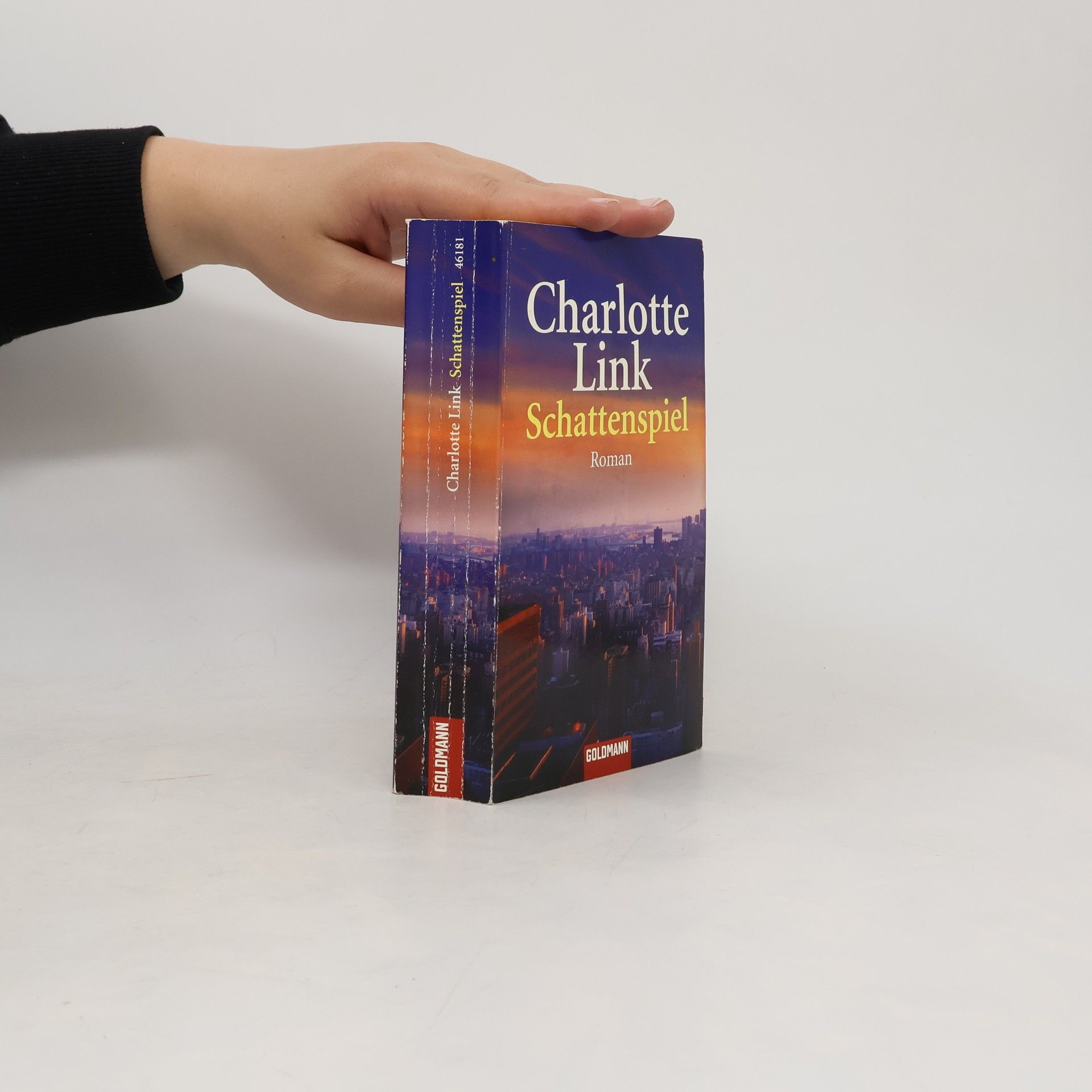 Charlotte Link Schattenspiel