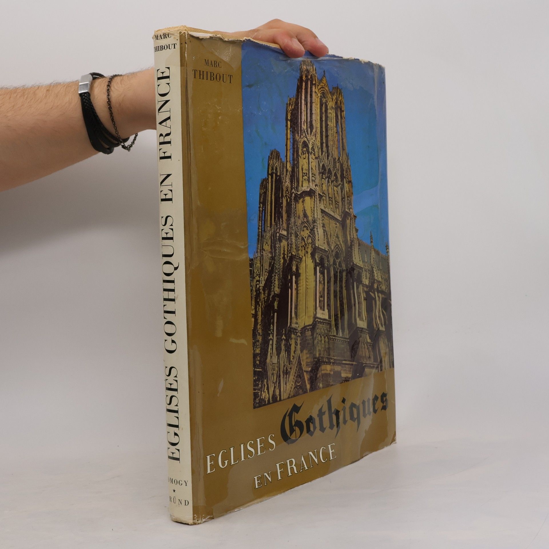 Marc Thibout Eglises Gothiques en France