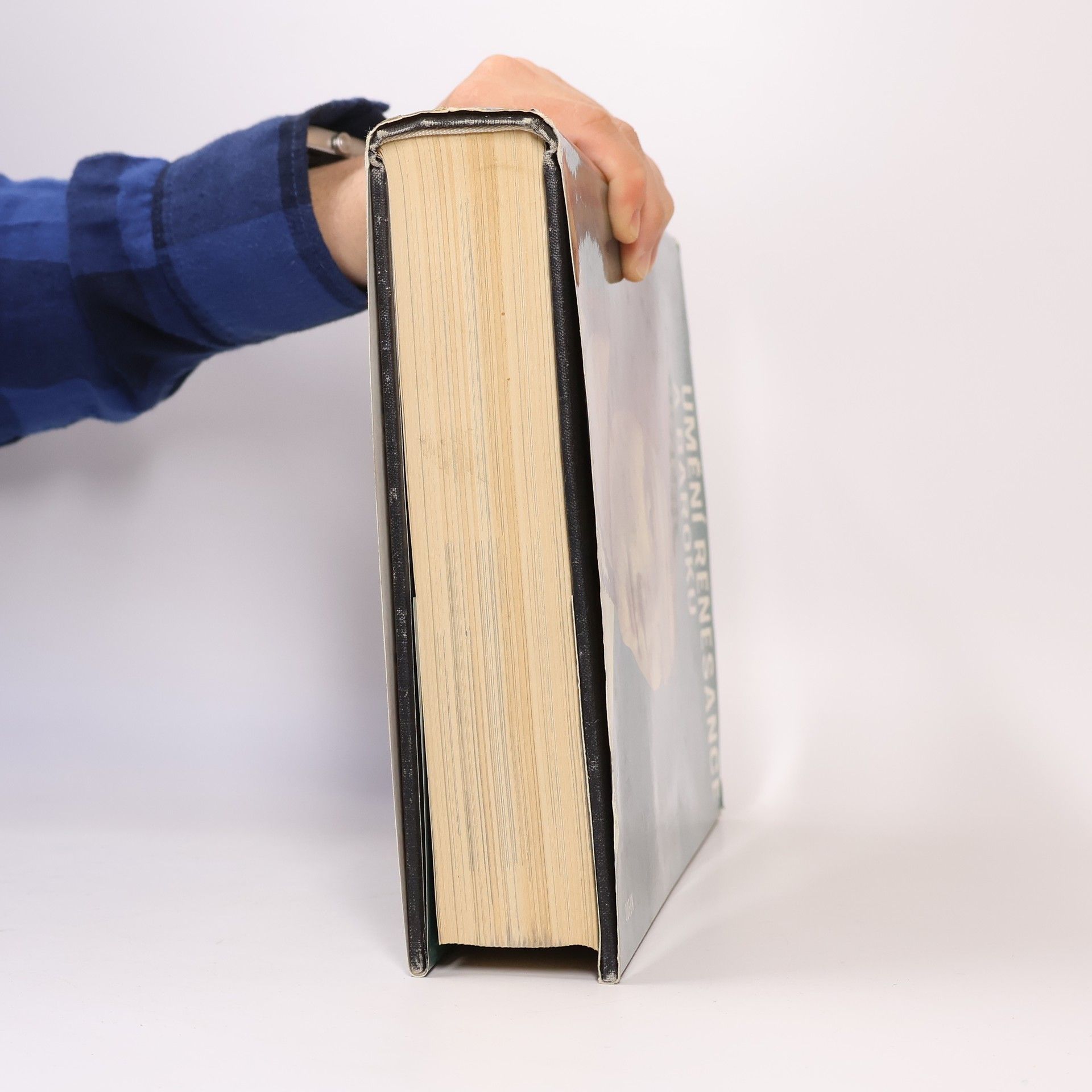 Various authors Umění renesance a baroku