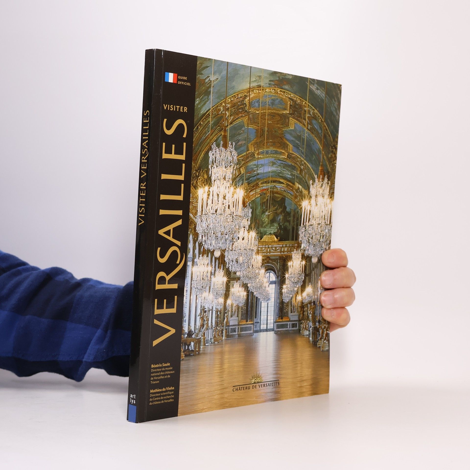 Mathieu Da Vinha Visiter Versailles