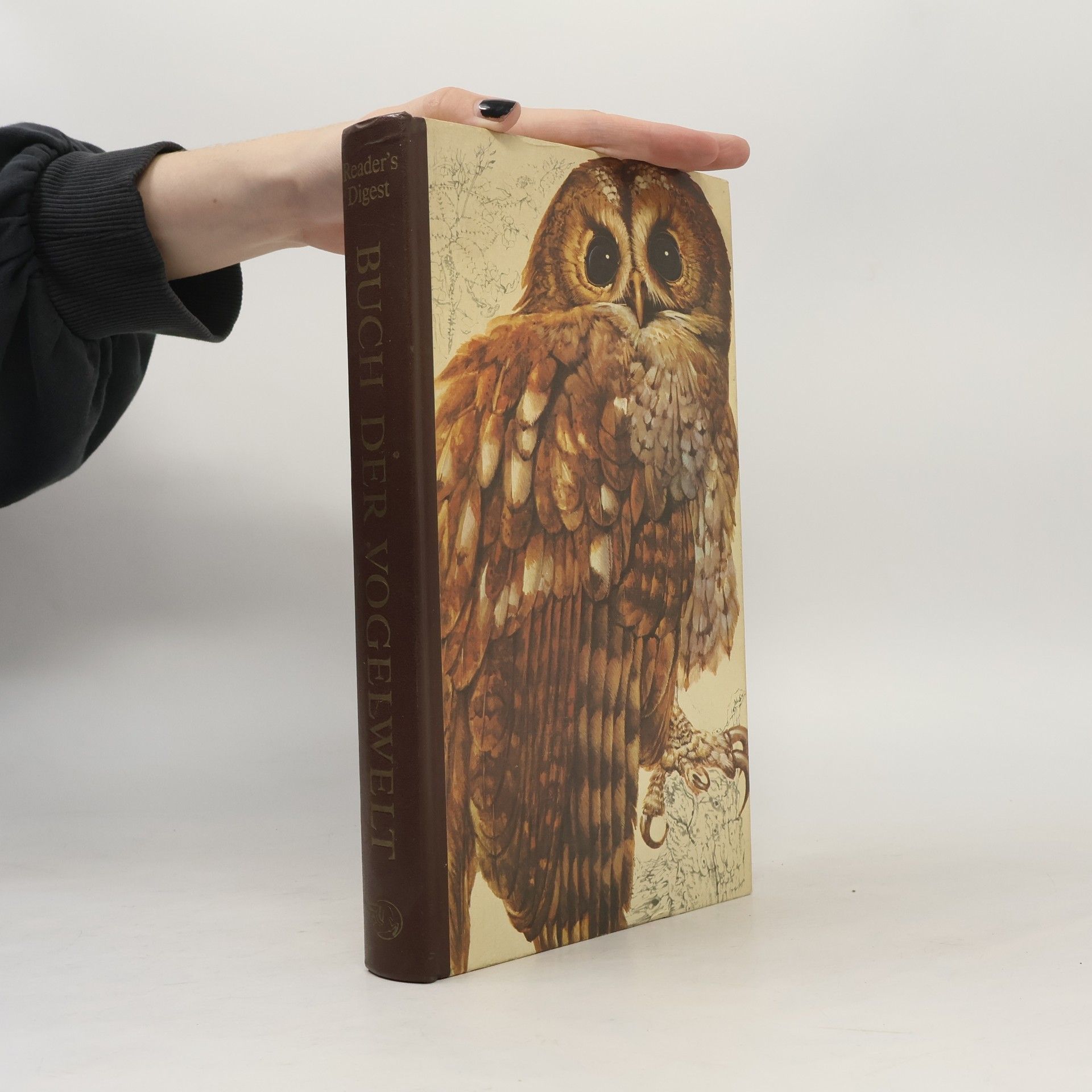 Günther Niethammer Das Reader's Digest Buch der Vogelwelt Mitteleuropas