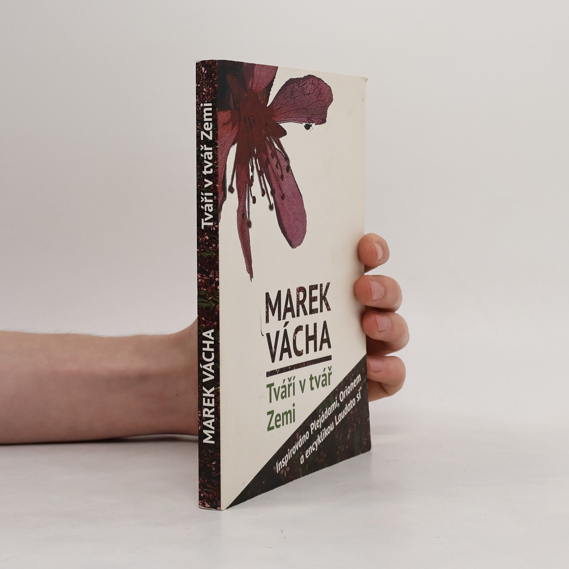 Marek Orko Vácha Tváří v tvář Zemi