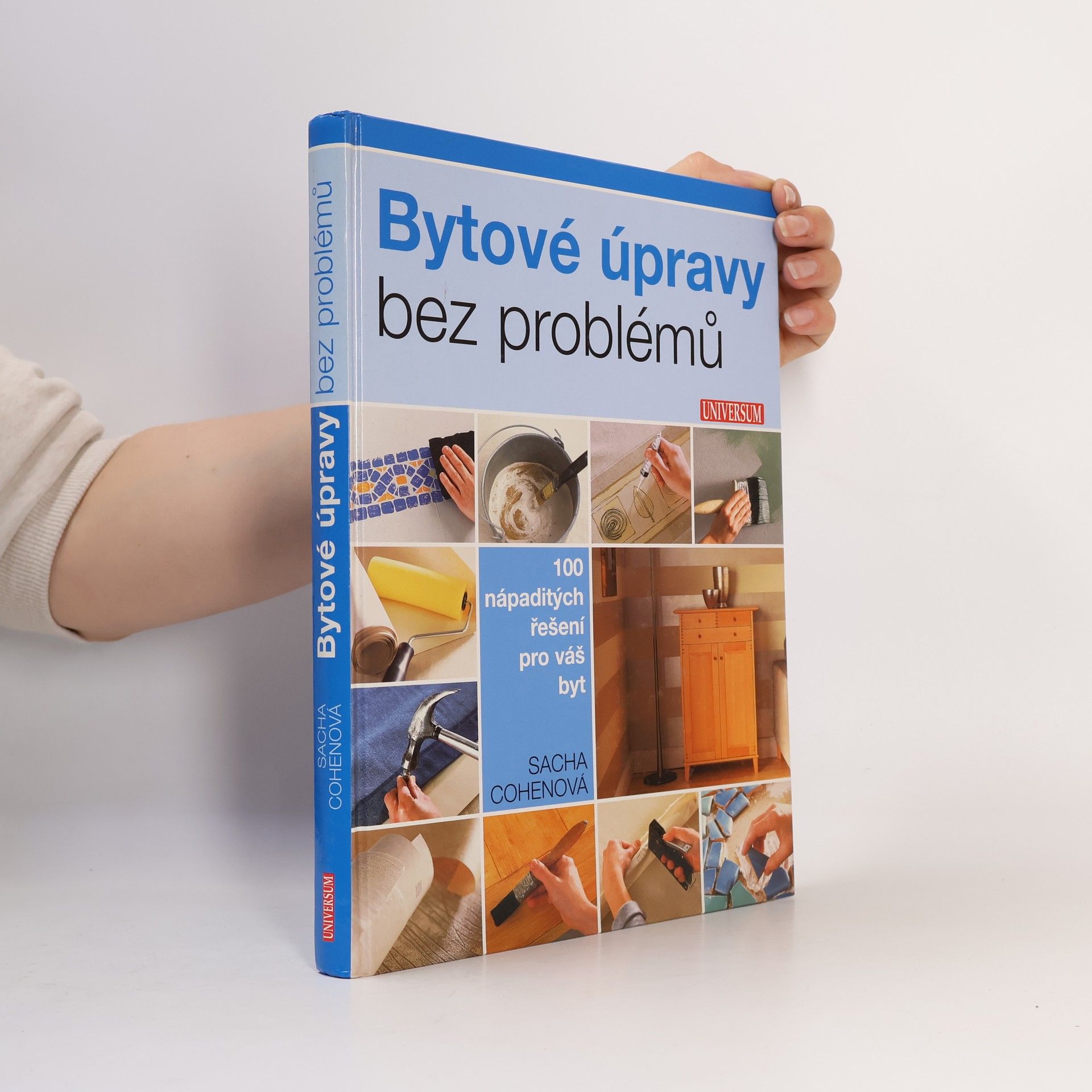 Sacha Cohen Bytové úpravy bez problémů. 100 nápaditých řešení pro váš byt