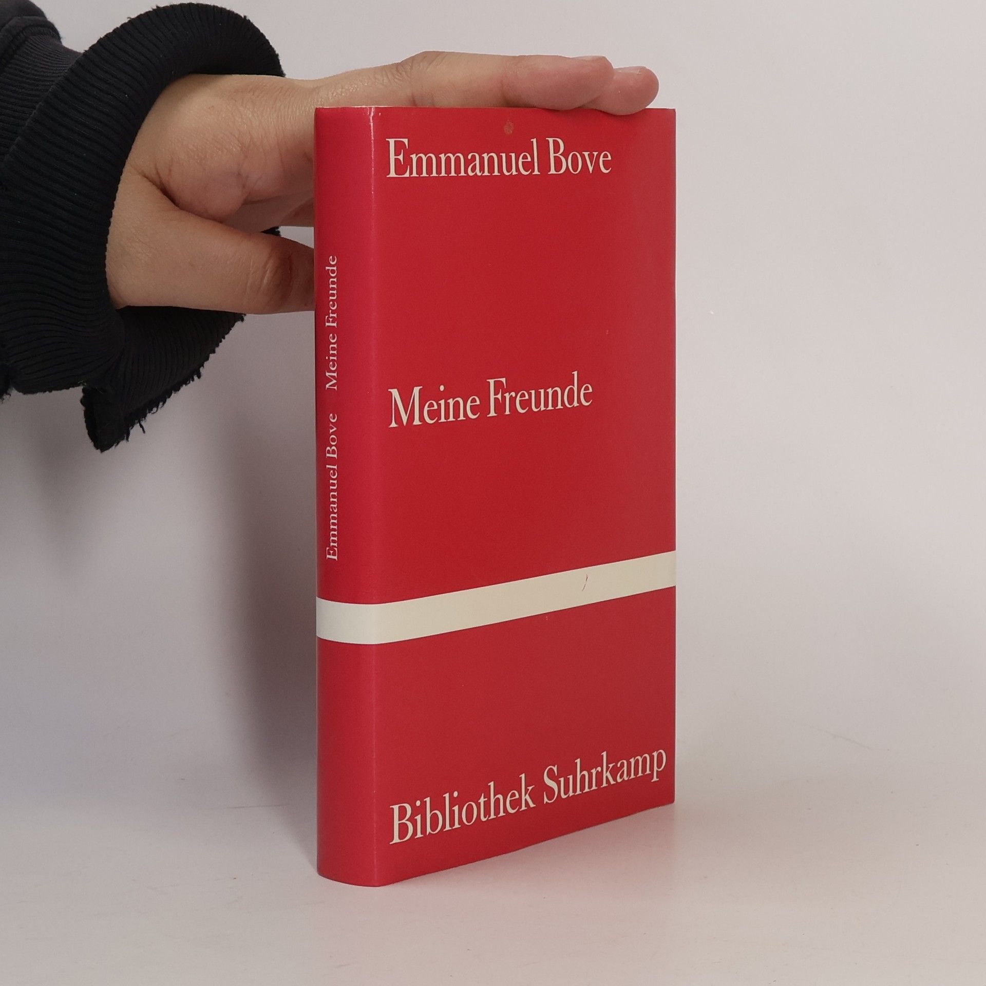 Emmanuel Bove Meine Freunde