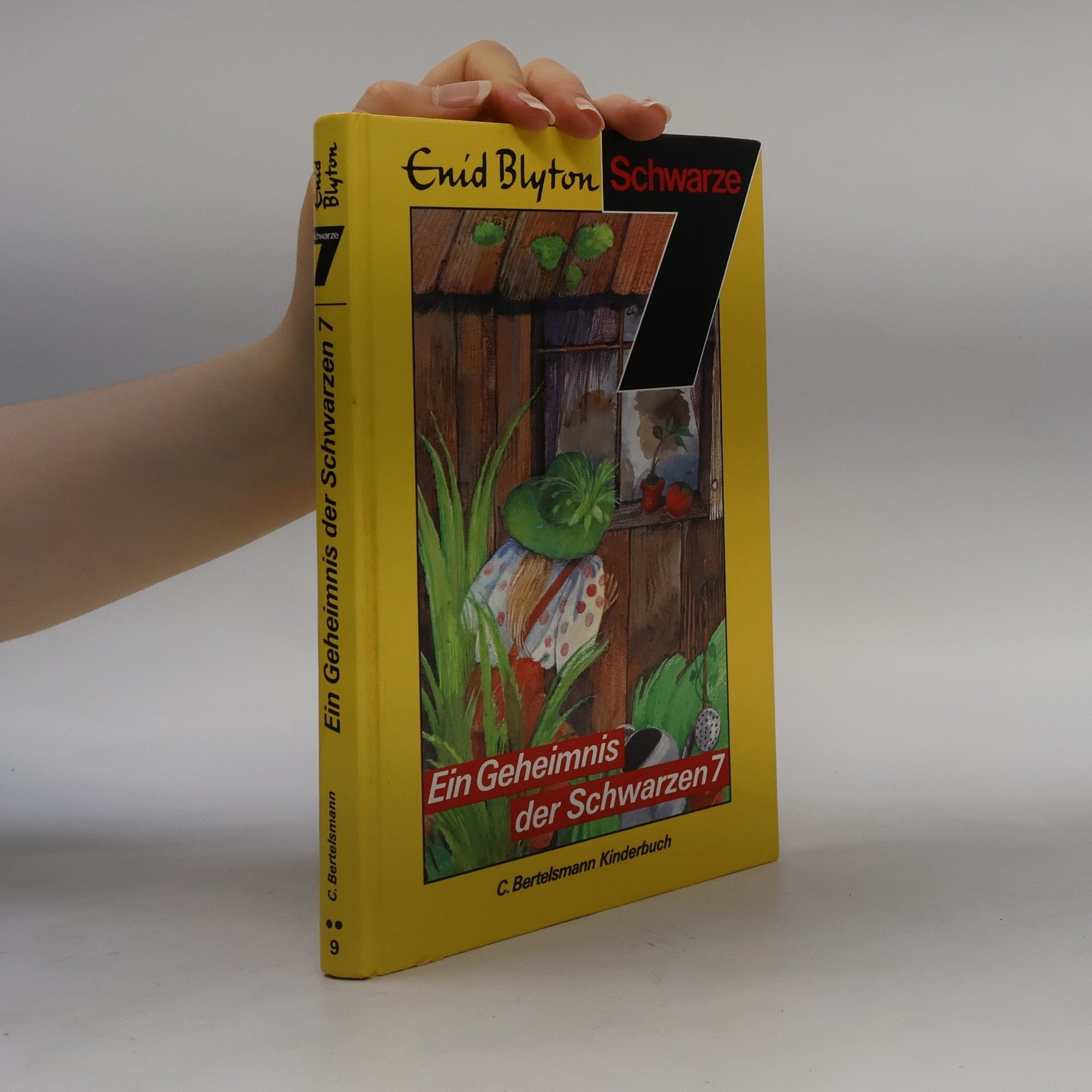 Enid Blyton Ein Geheimnis der Schwarzen 7