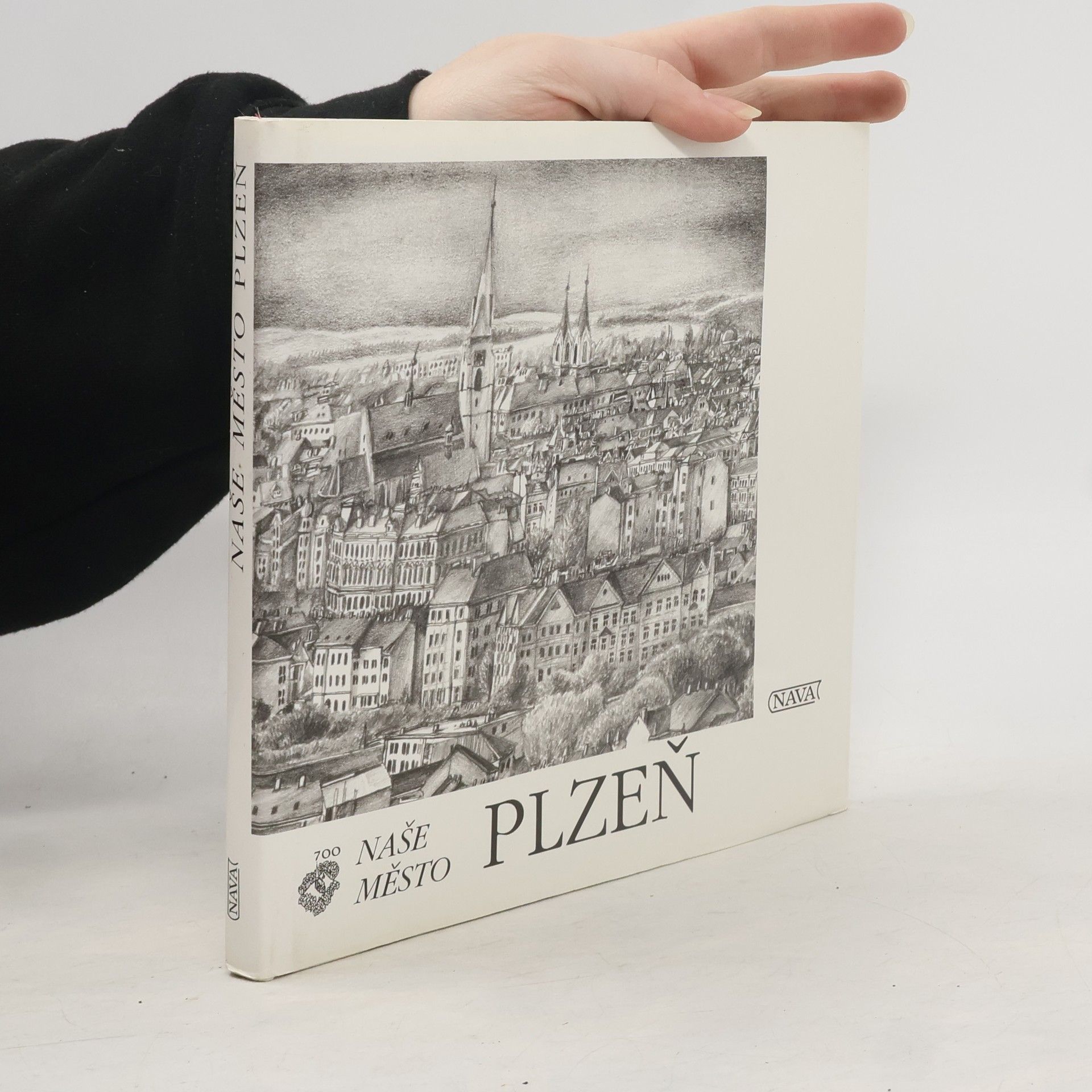 Auteurscollectief Naše město Plzeň