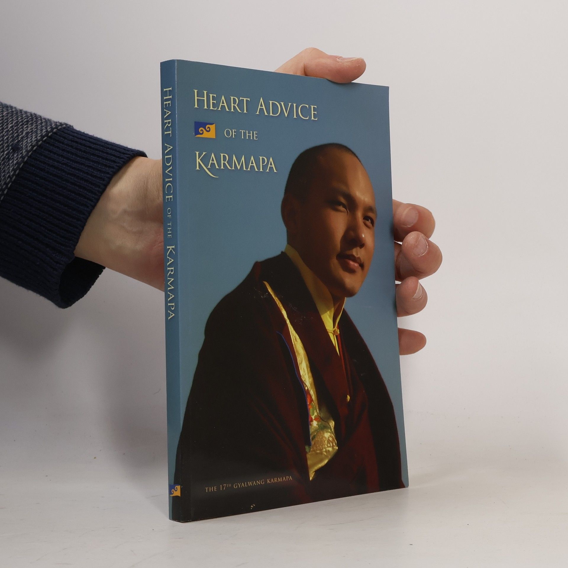 Kolektív autorov Heart Advice of the Karmapa