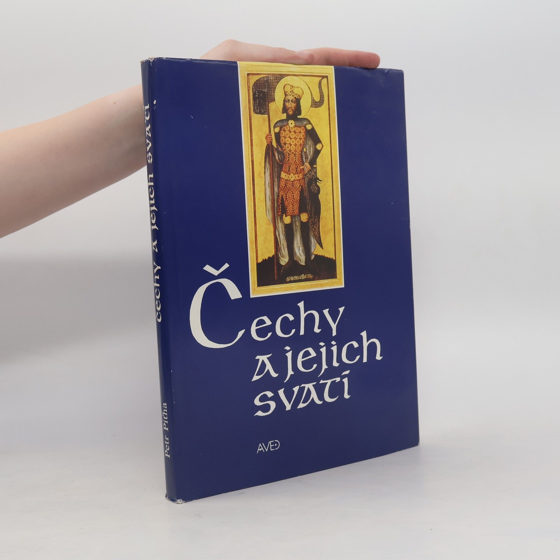Petr Piťha Čechy a jejich svatí