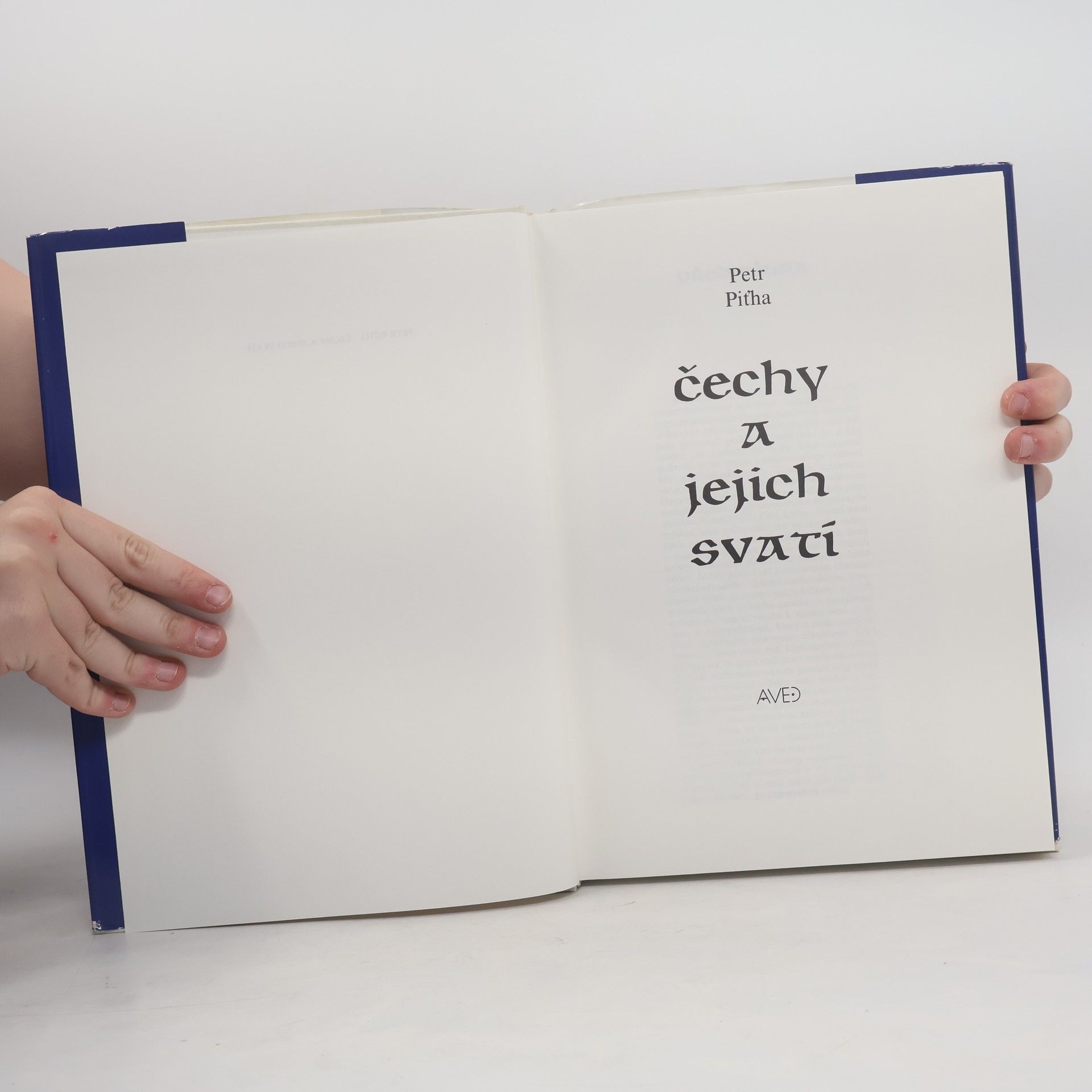 Petr Pit̕ha Čechy a jejich svatí