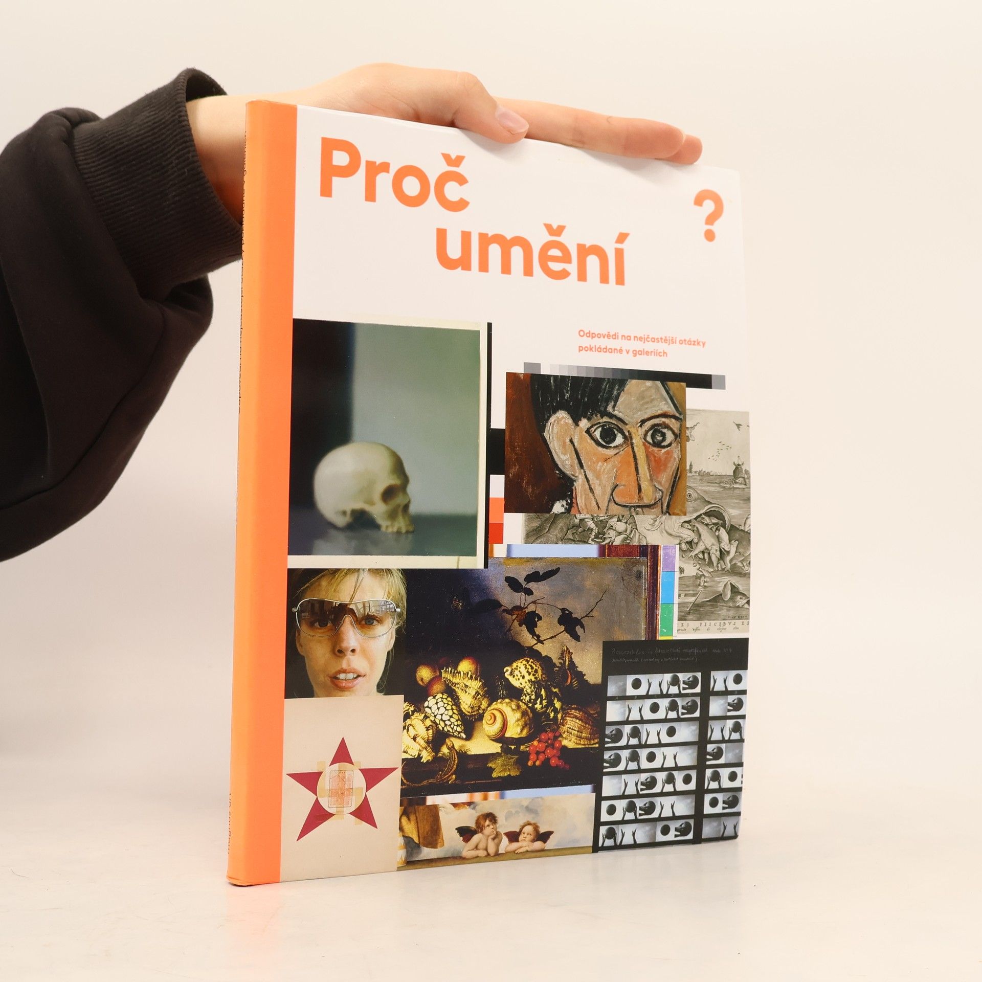 Kolektiv autorů Proč umění?