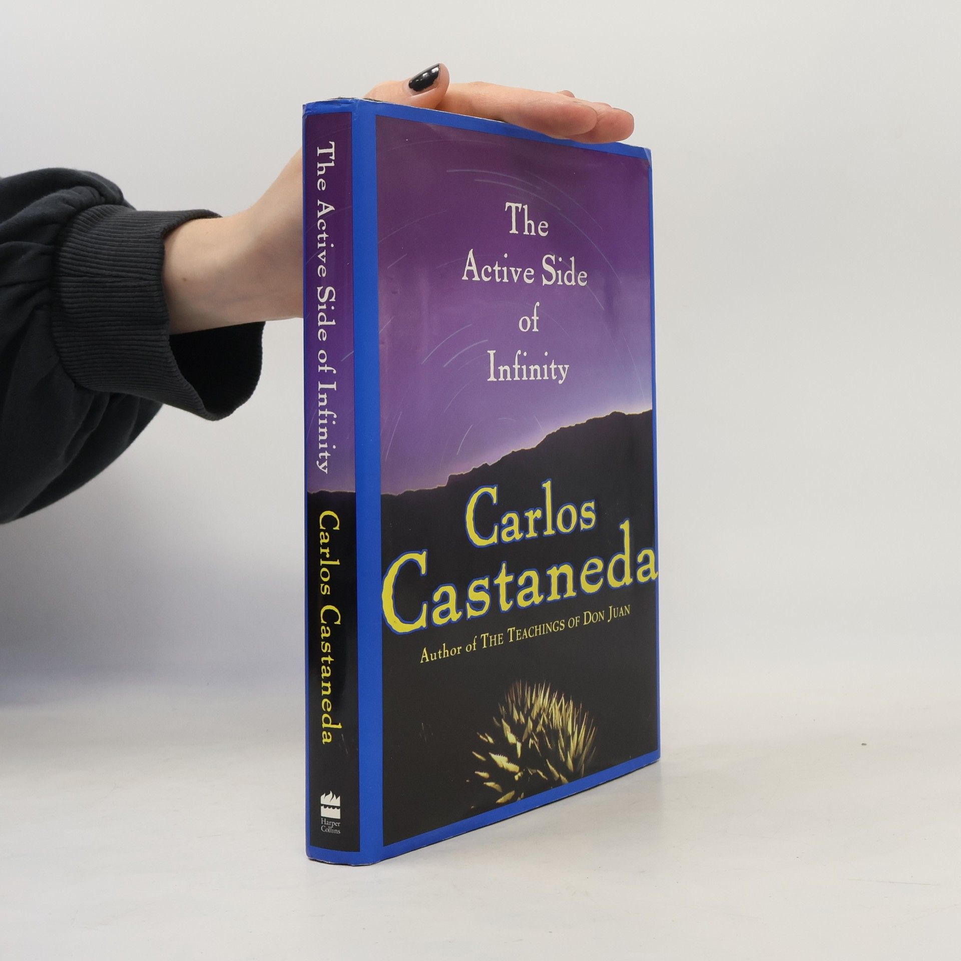 Carlos Castañeda The Active Side of Infinity
