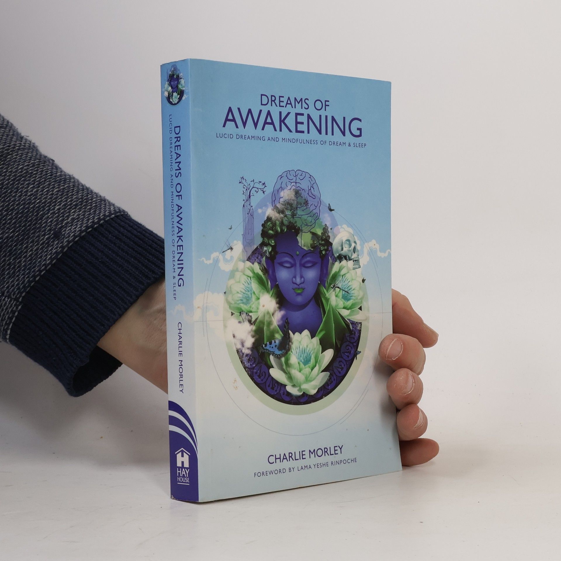 Charlie Morley Dreams of Awakening