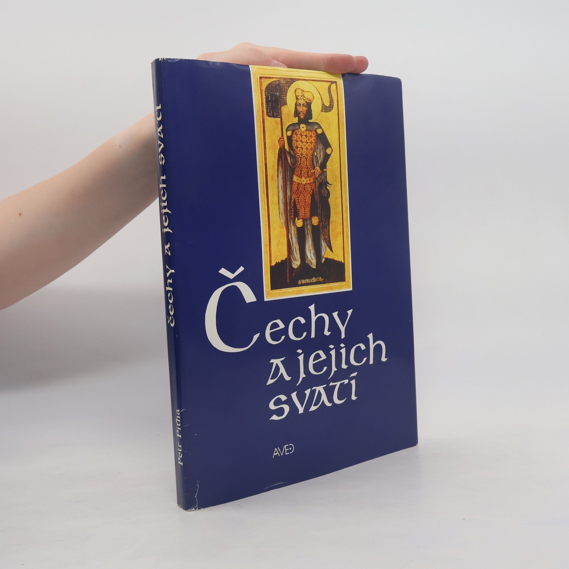 Petr Piťha Čechy a jejich svatí