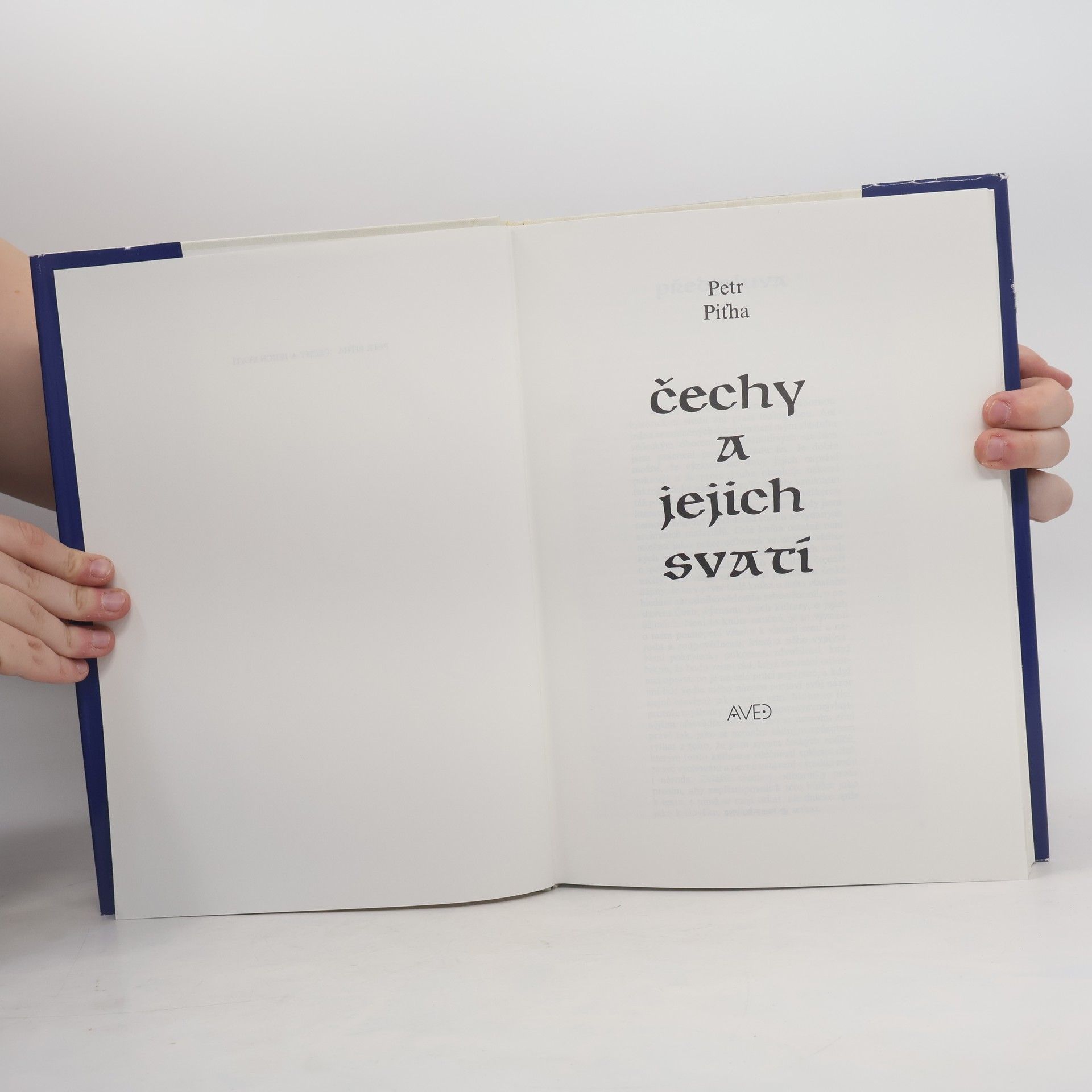 Petr Piťha Čechy a jejich svatí