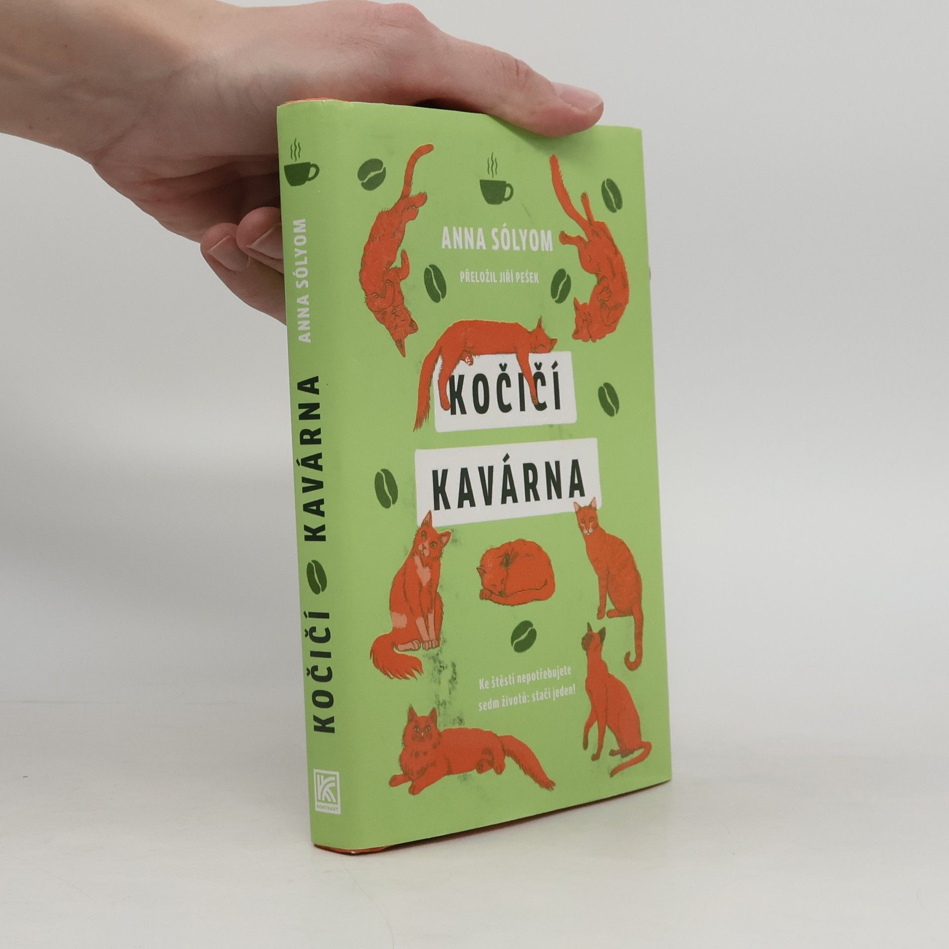 Anna Sólyom Kočičí kavárna