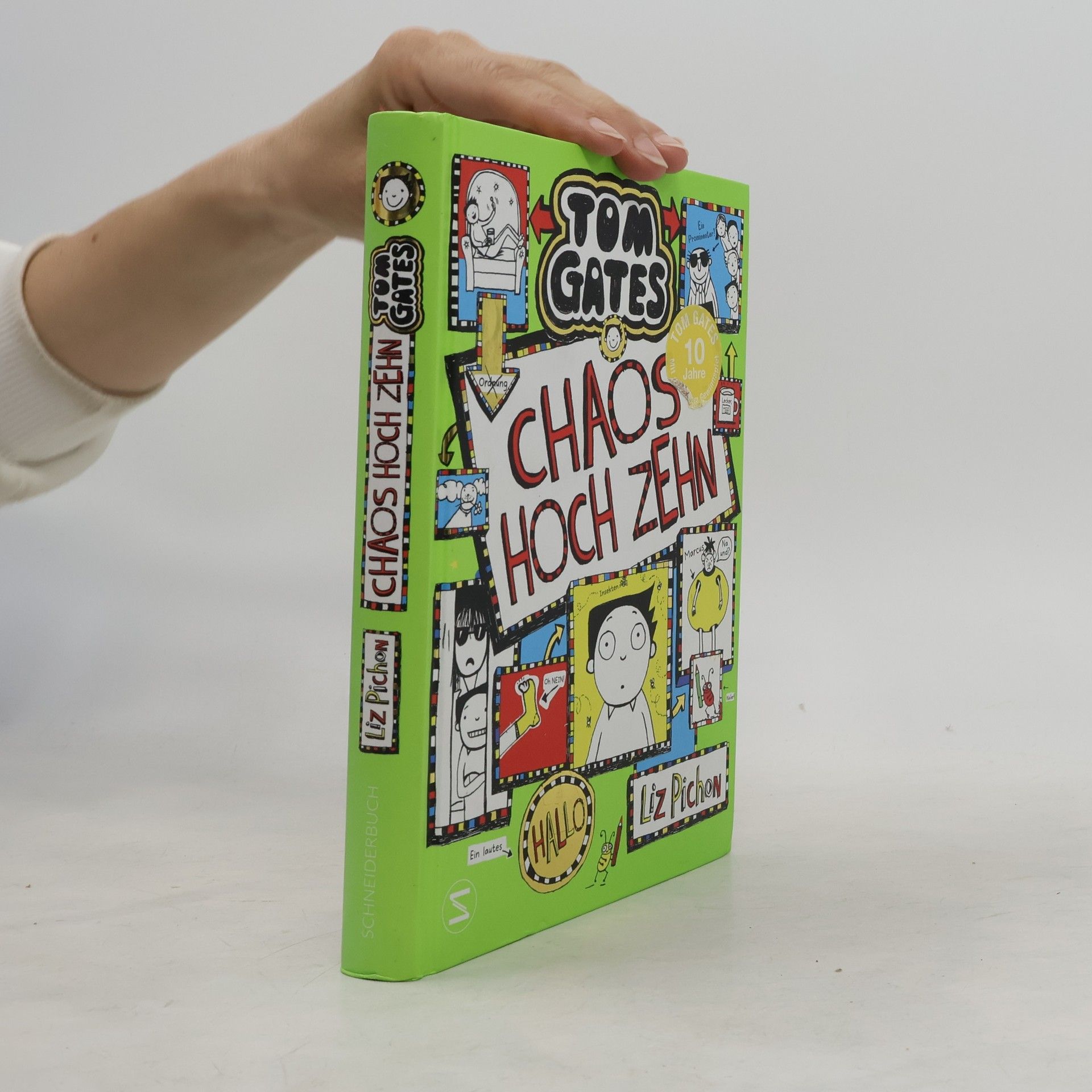 Liz Pichon Chaos hoch zehn