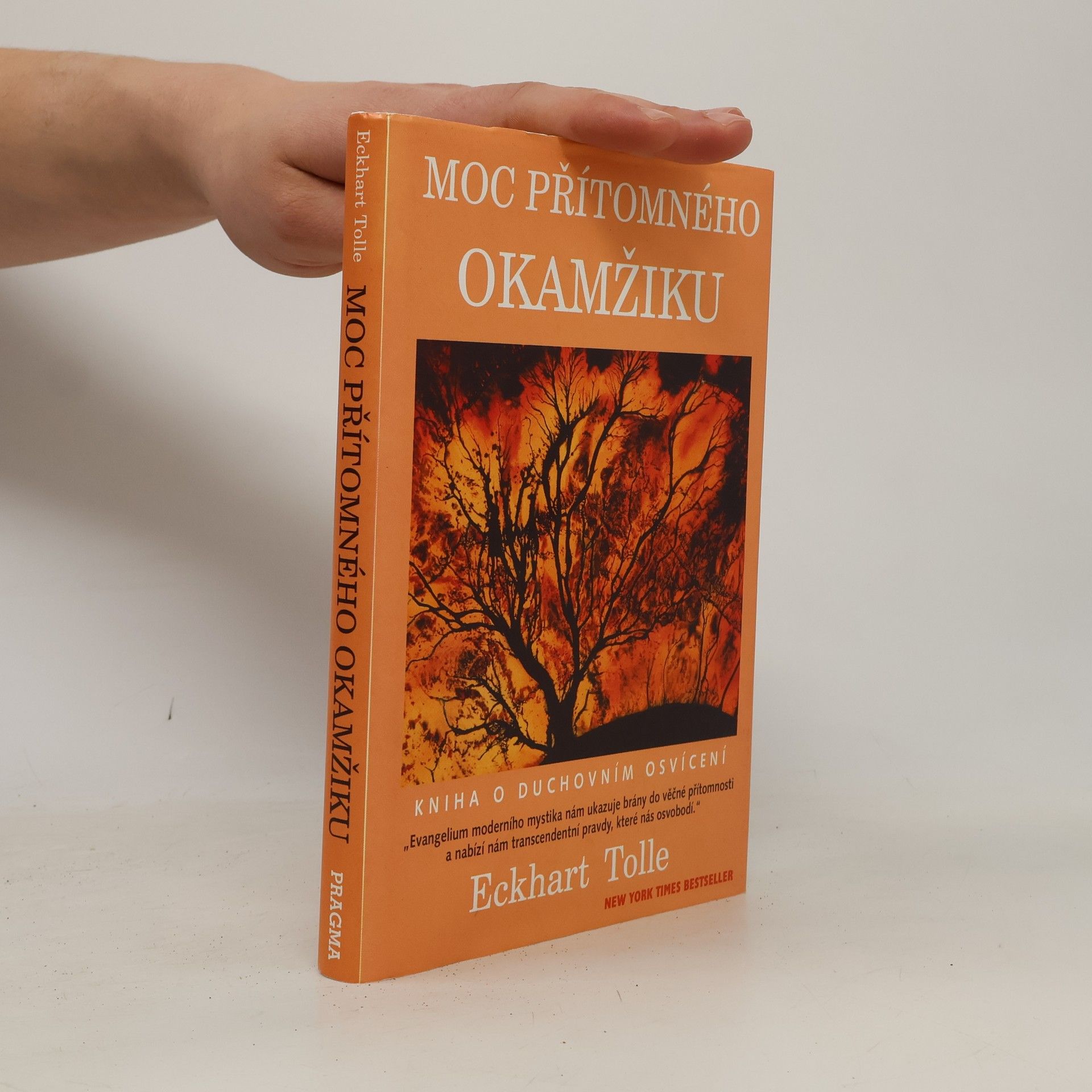 Eckhart Tolle Moc přítomného okamžiku