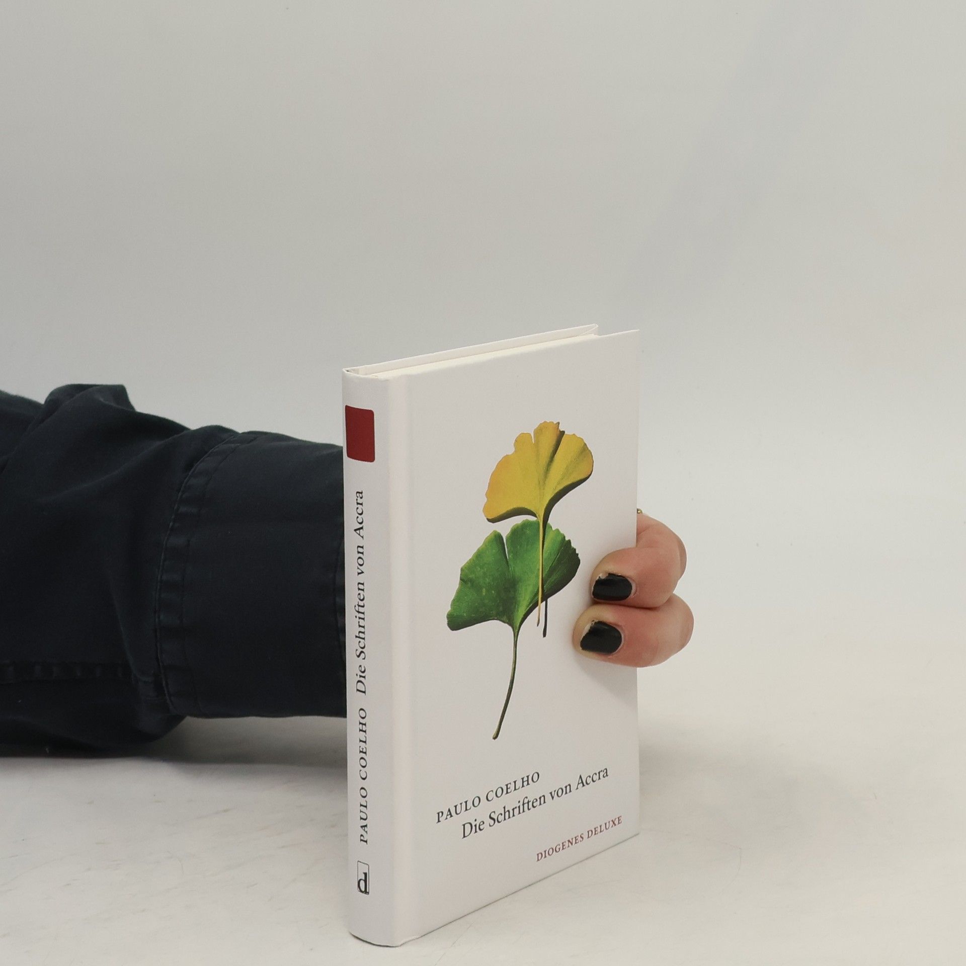 Paulo Coelho Diogenes Deluxe: Die Schriften von Accra