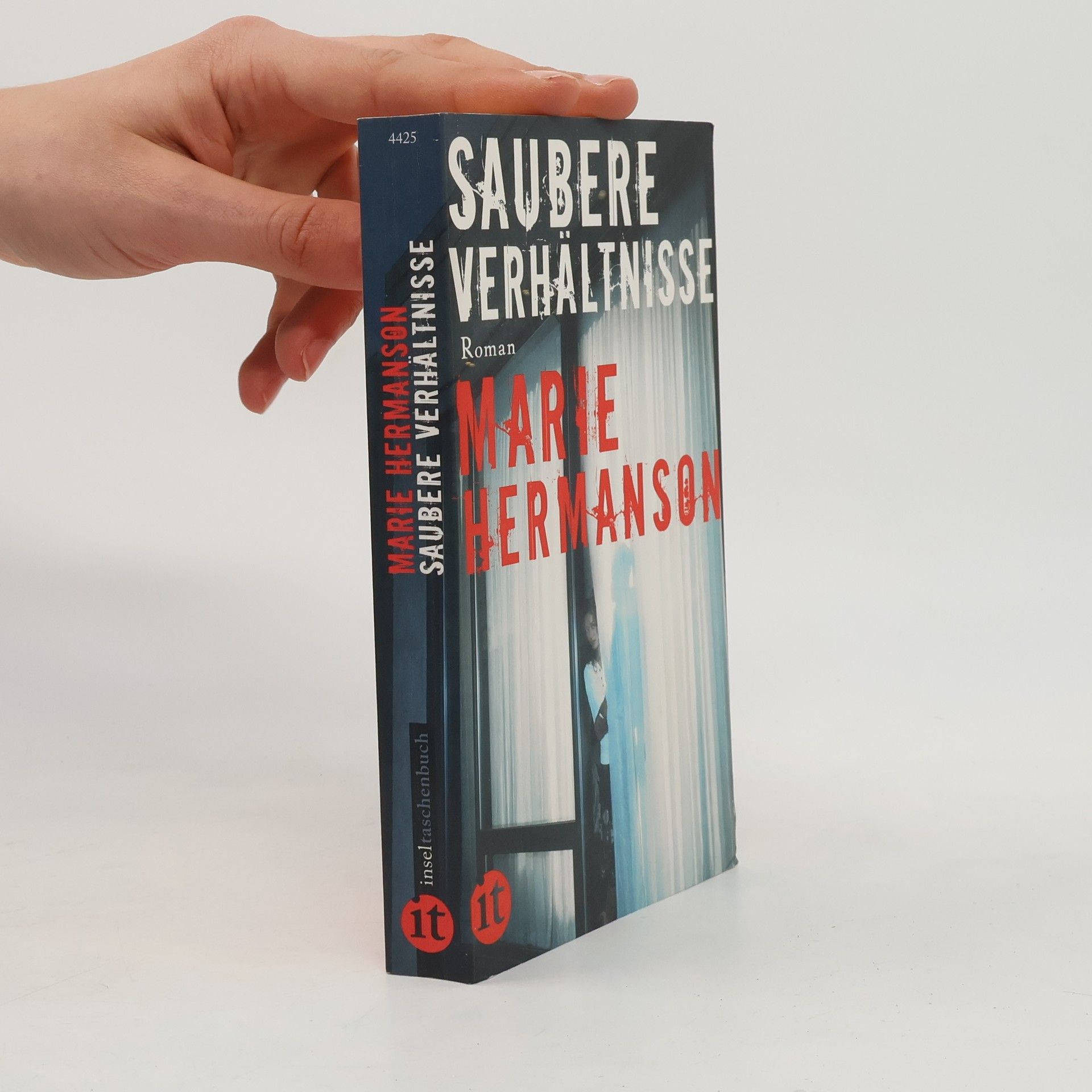 Marie Hermanson Saubere Verhältnisse