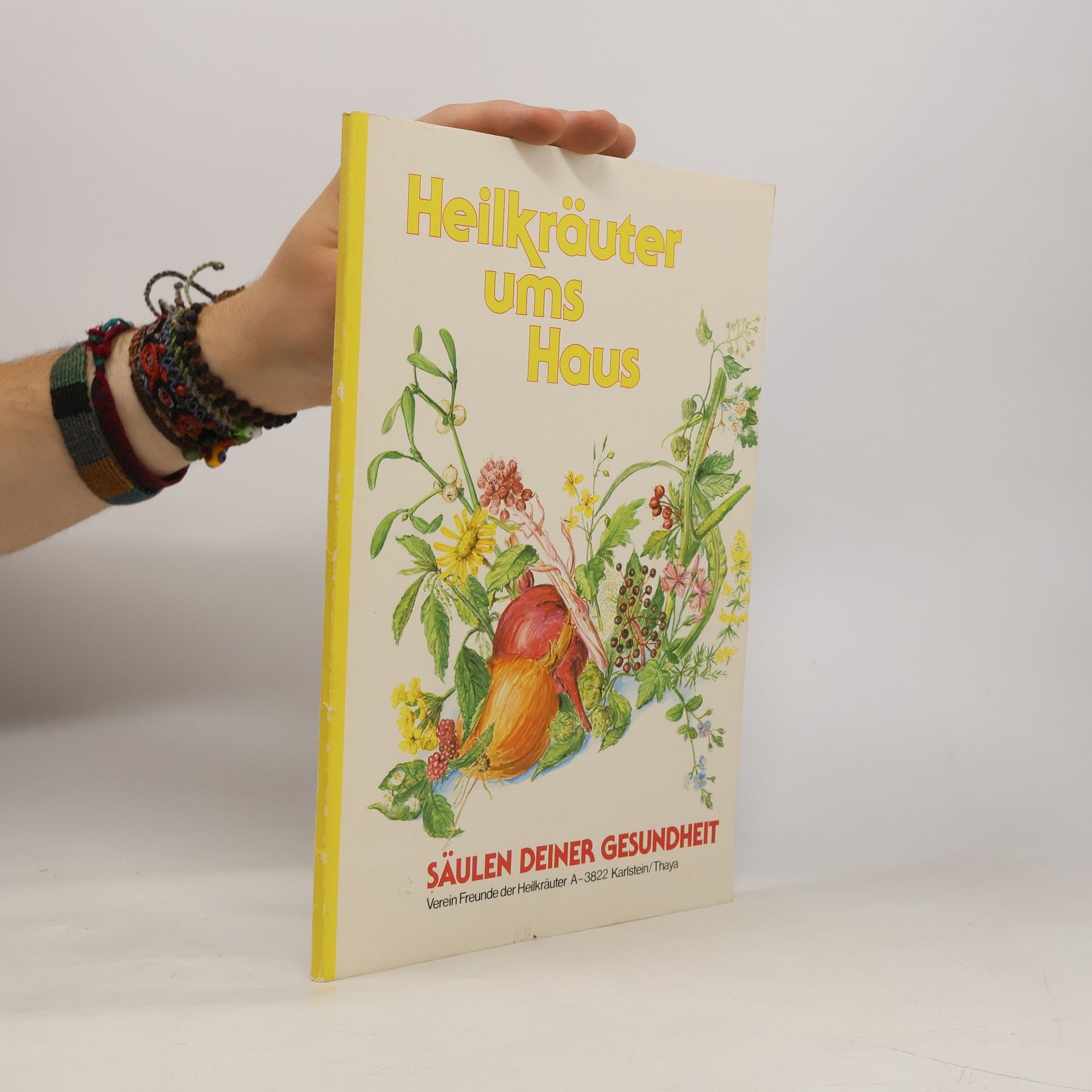 Autores varios Heilkräuter ums Haus : Säulen deiner Gesundheit